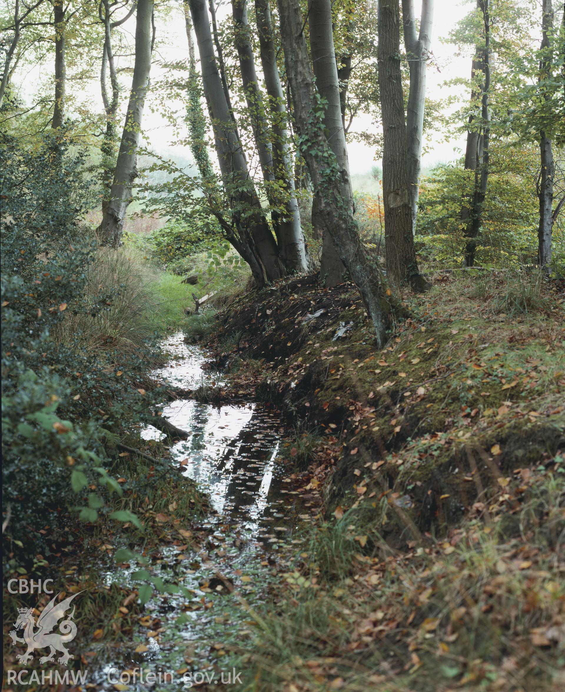 RCAHMW colour transparency showing Ynys Pit and leat, Clyne Valley, taken by I.N. Wright, c1981.