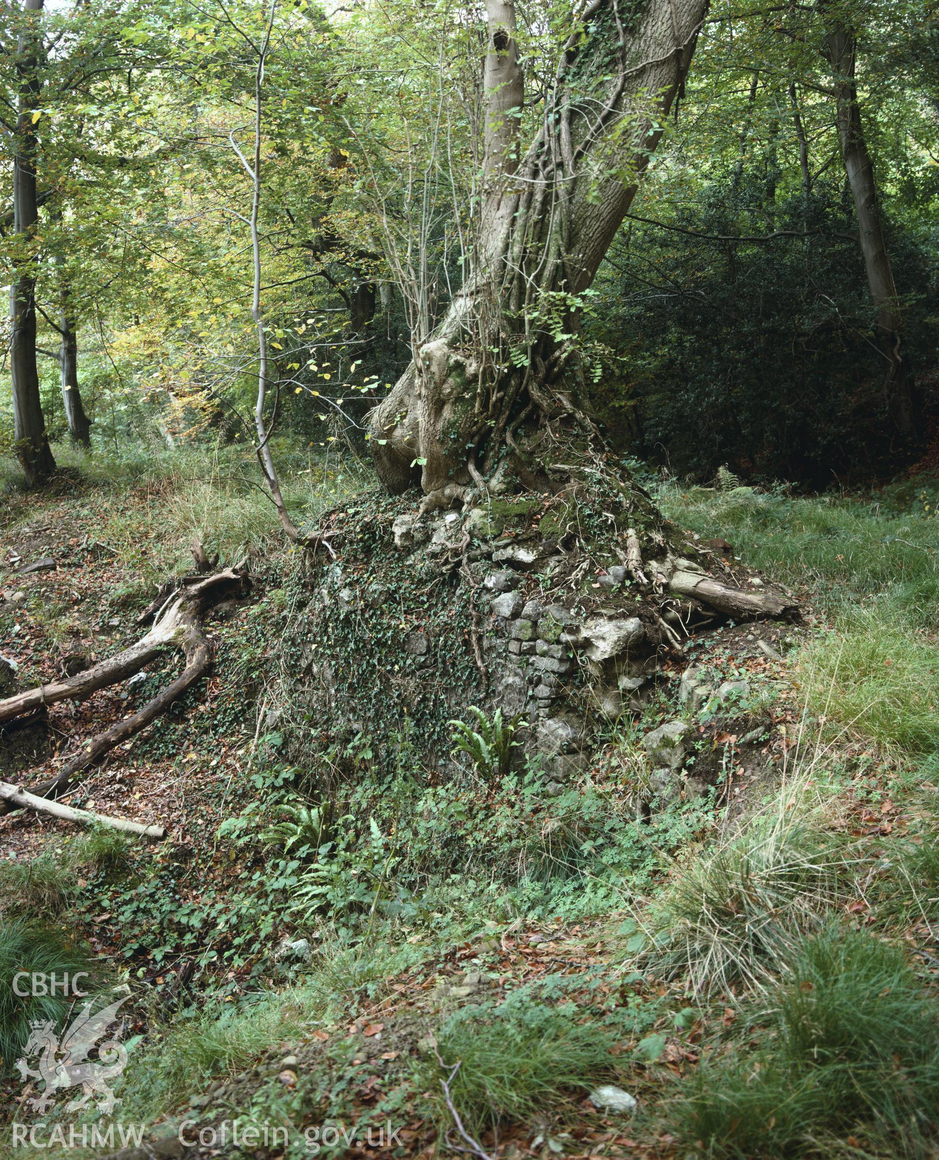 RCAHMW colour transparency showing Ynys Pit and leat, Clyne Valley, taken by I.N. Wright, c1981.