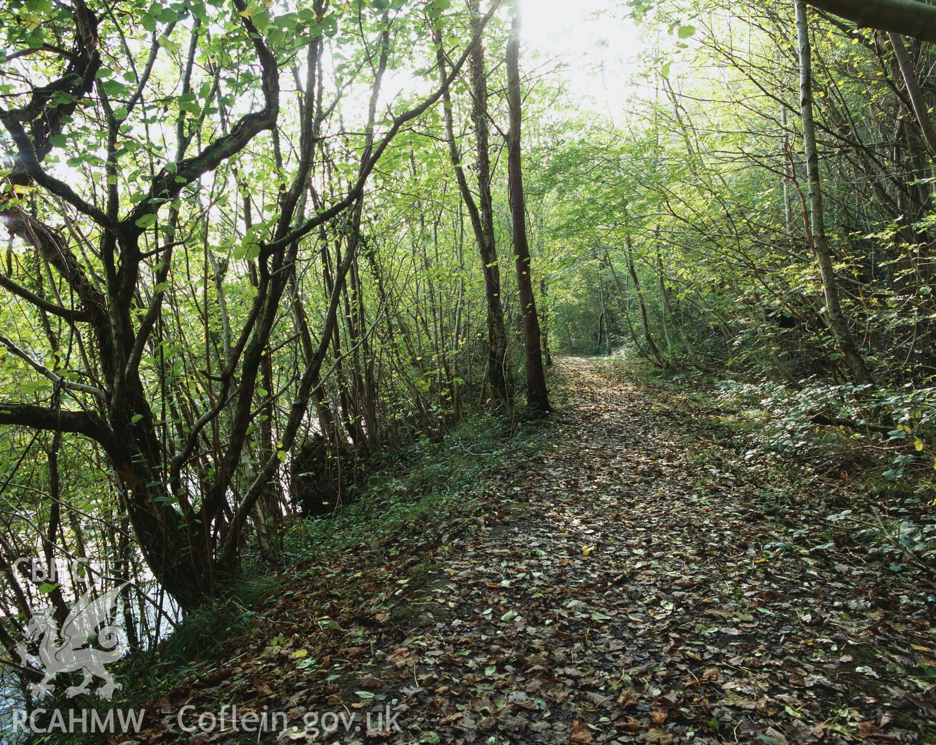 RCAHMW colour transparency showing view of Swansea Canal embankment at Cae'r Bont, taken by I.N. Wright, October 2005