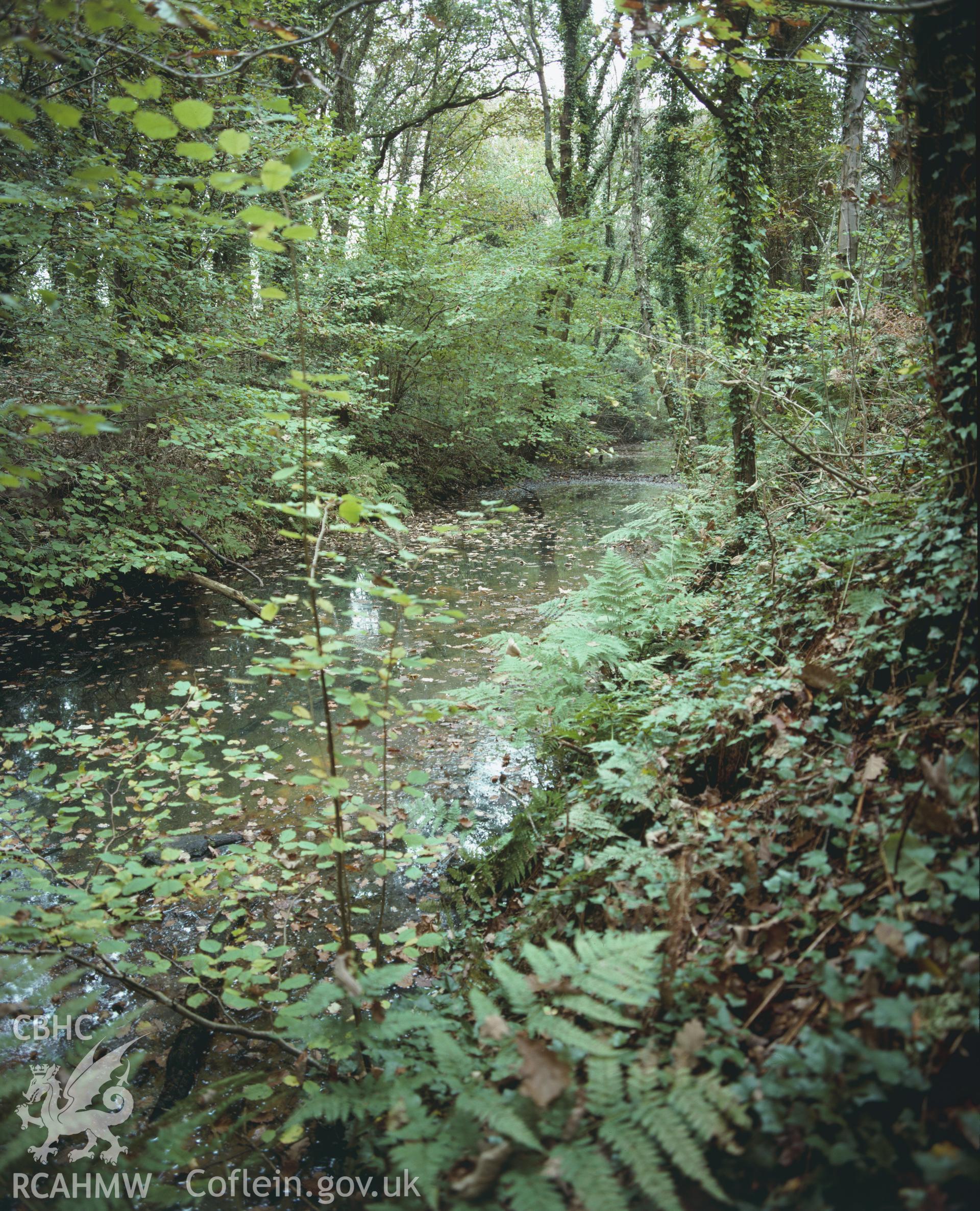 RCAHMW colour transparency showing Ynys Pit and leat, Clyne Valley, taken by I.N. Wright, c1981.