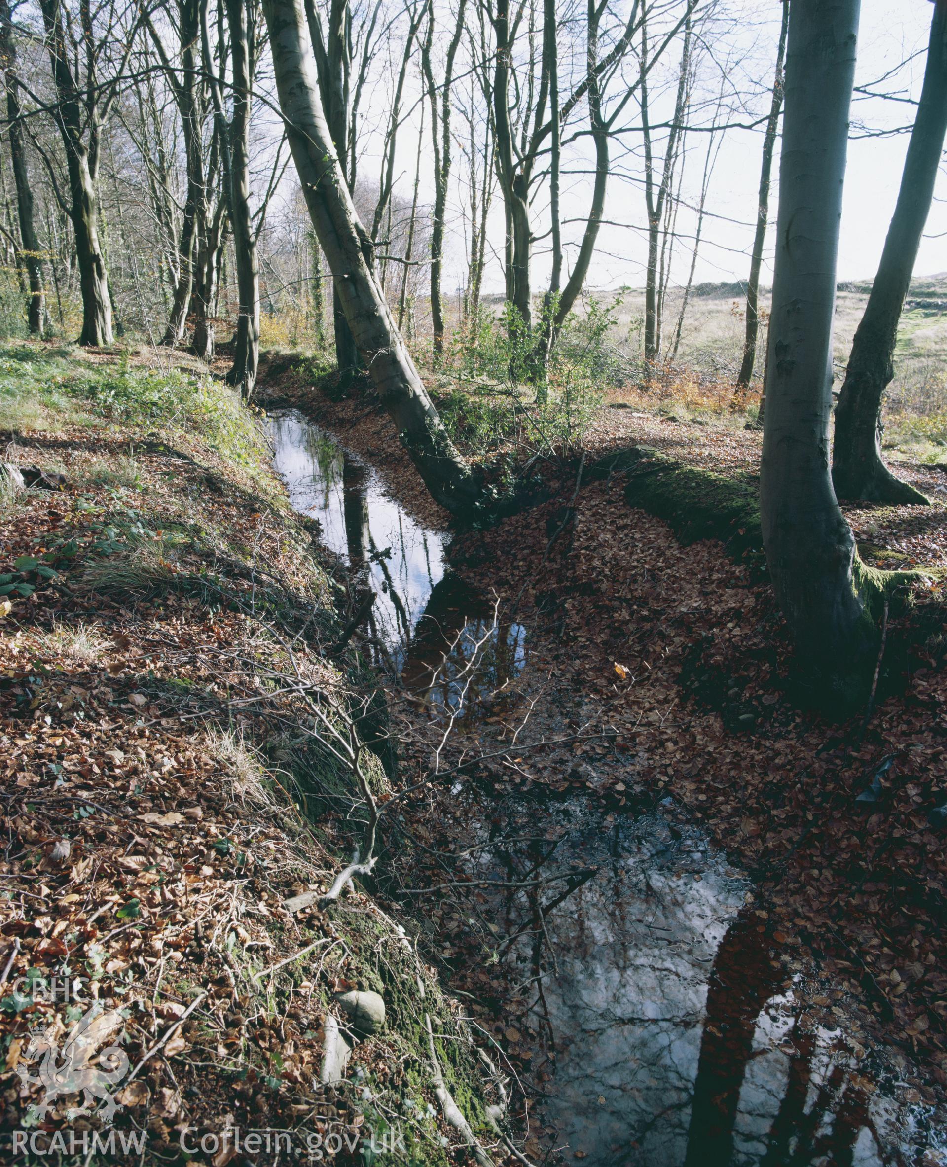 RCAHMW colour transparency showing Ynys Pit and leat, Clyne Valley, taken by I.N. Wright, c1981.