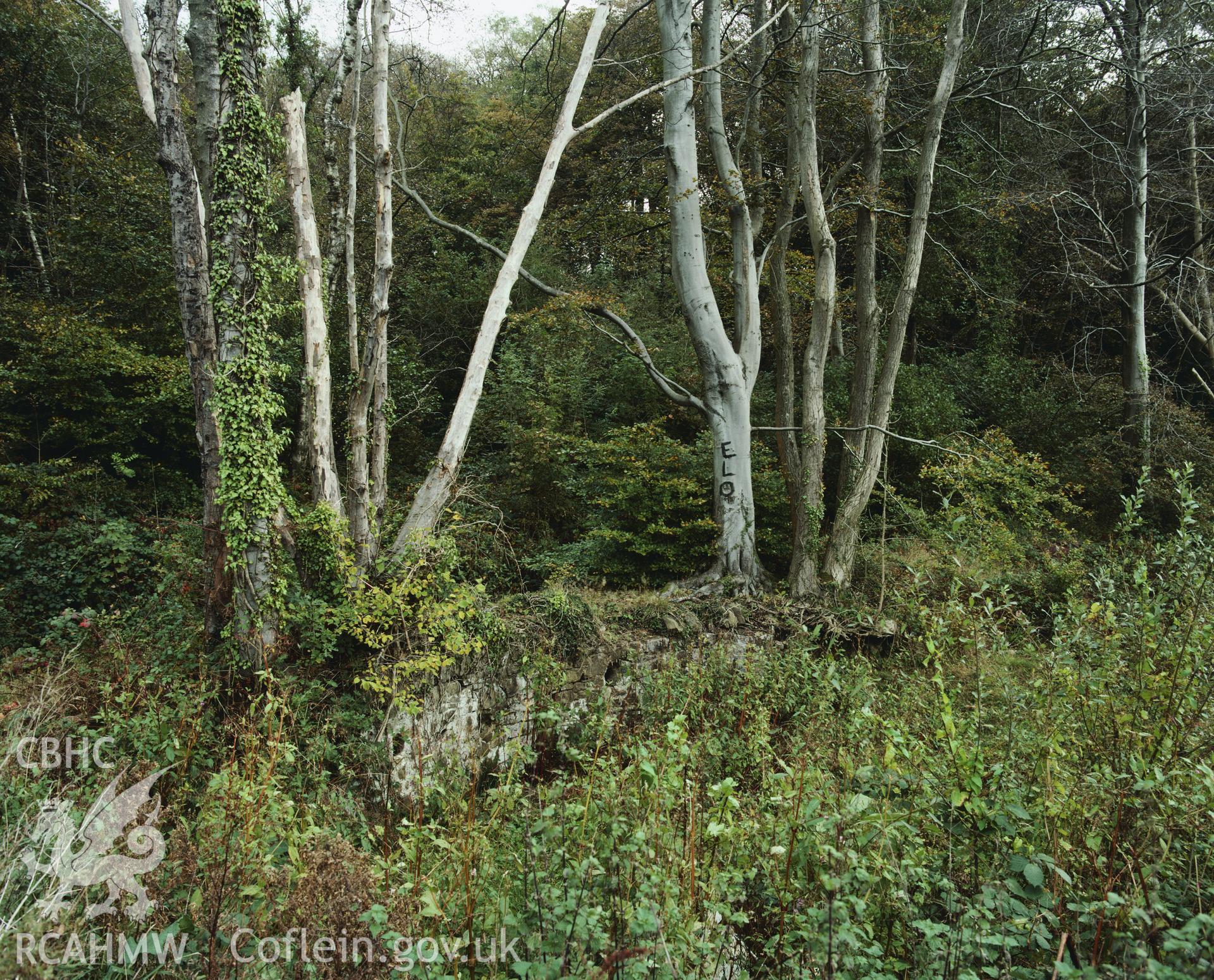 RCAHMW colour transparency showing Ynys Pit and leat, Clyne Valley, taken by I.N. Wright, c1981.