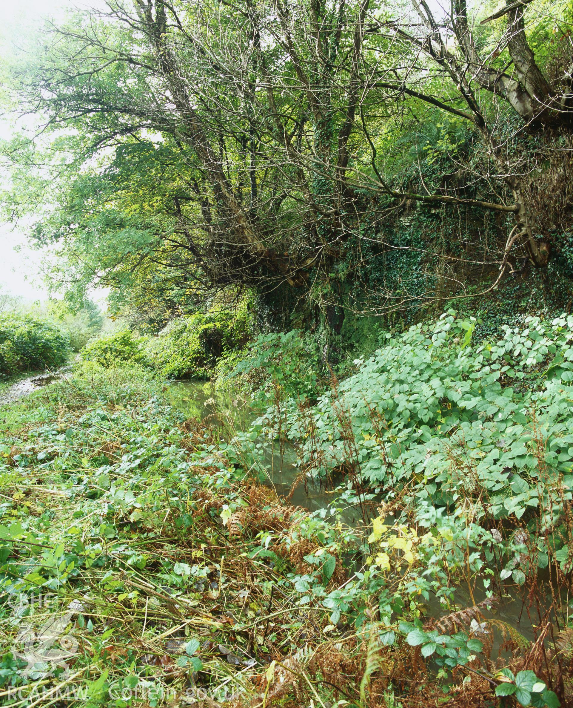 RCAHMW colour transparency showing  view of  Swansea Canal cutting at Ystalyfera, taken by I.N. Wright, October 2005.