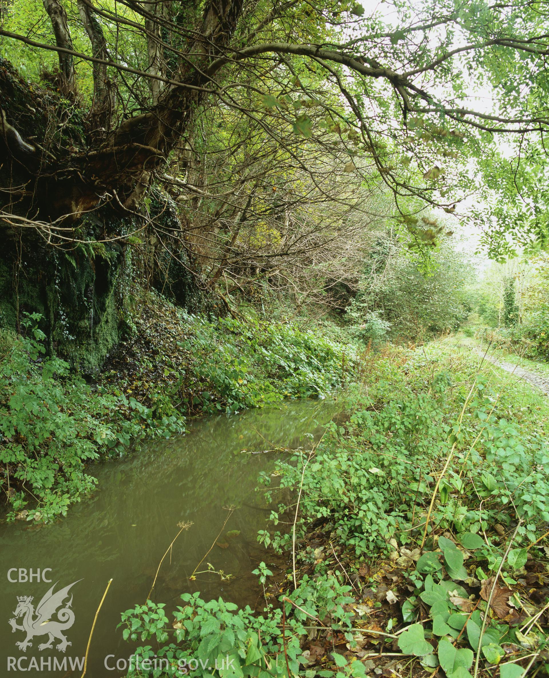 RCAHMW colour transparency showing  view of  Swansea Canal cutting at Ystalyfera, taken by I.N. Wright, October 2005.