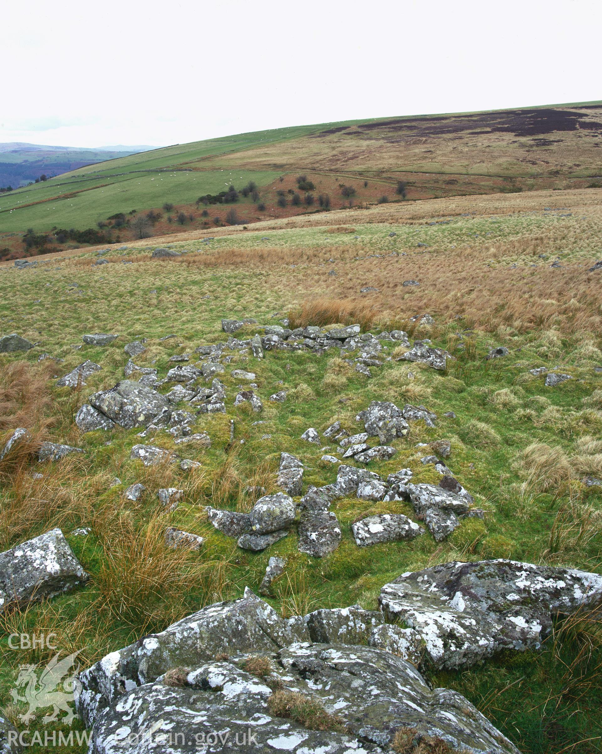 RCAHMW colour transparency showing house foundations at Ffridd Camen, Llandrillo, taken by I.N. Wright, March 2002.