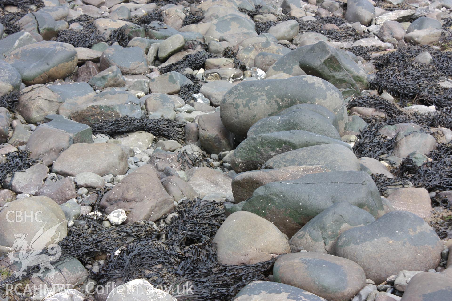 Section of dry stone wall comprising east-west arm of fish trap, looking east. Shows alignment of boulders.