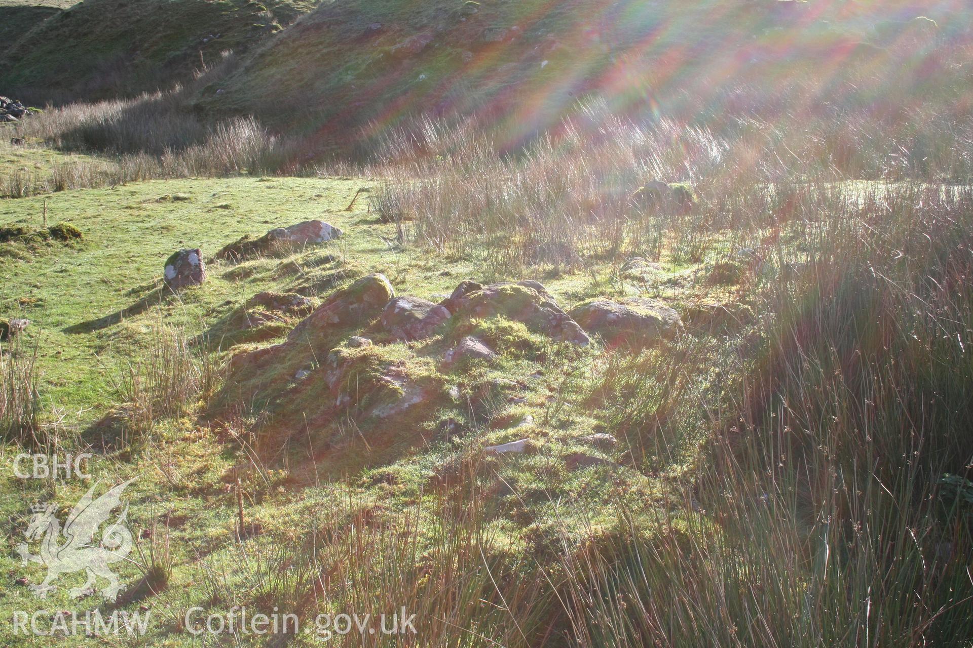 Possible remains of a long hut seen from the north-west.