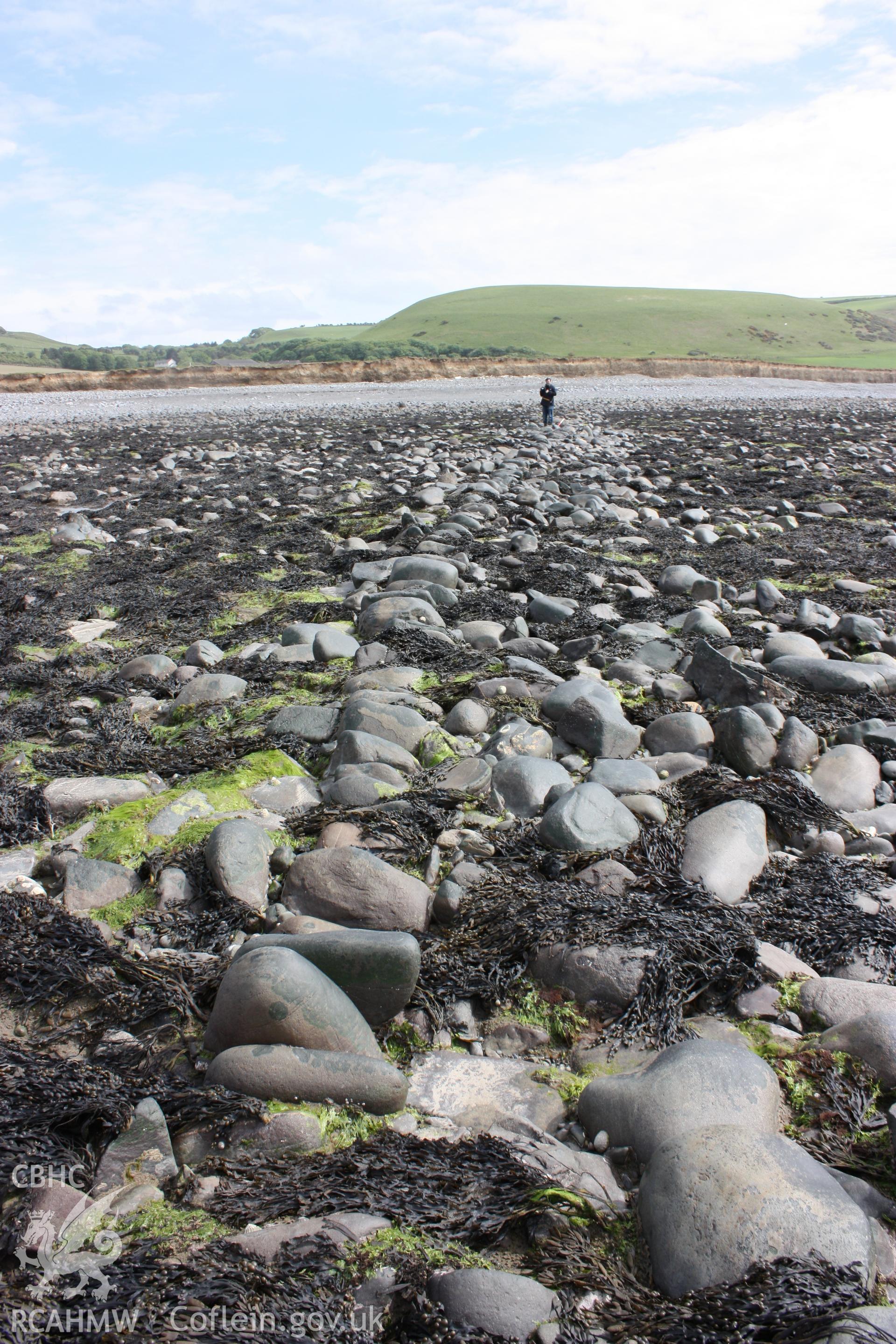 North-south arm of fish trap, looking south east. Member of RCAHMW staff (centre background) shows extent of arm and alignment of boulders comprising dry stone wall.