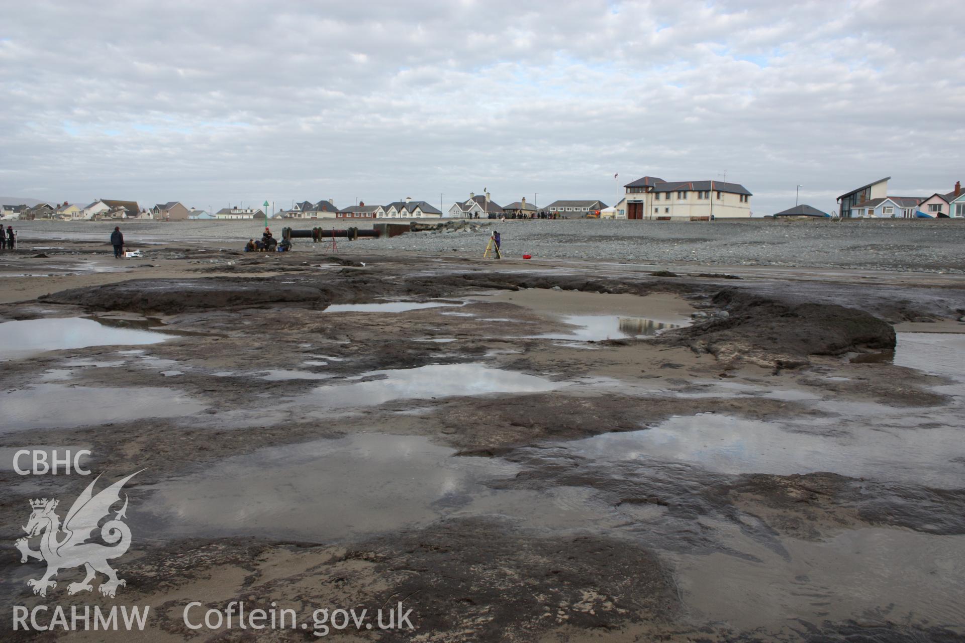 Borth submerged forest (between RNLI lifeboat station and upper Borth), looking northeast towards High Street and lifeboat station. Showing peat exposures