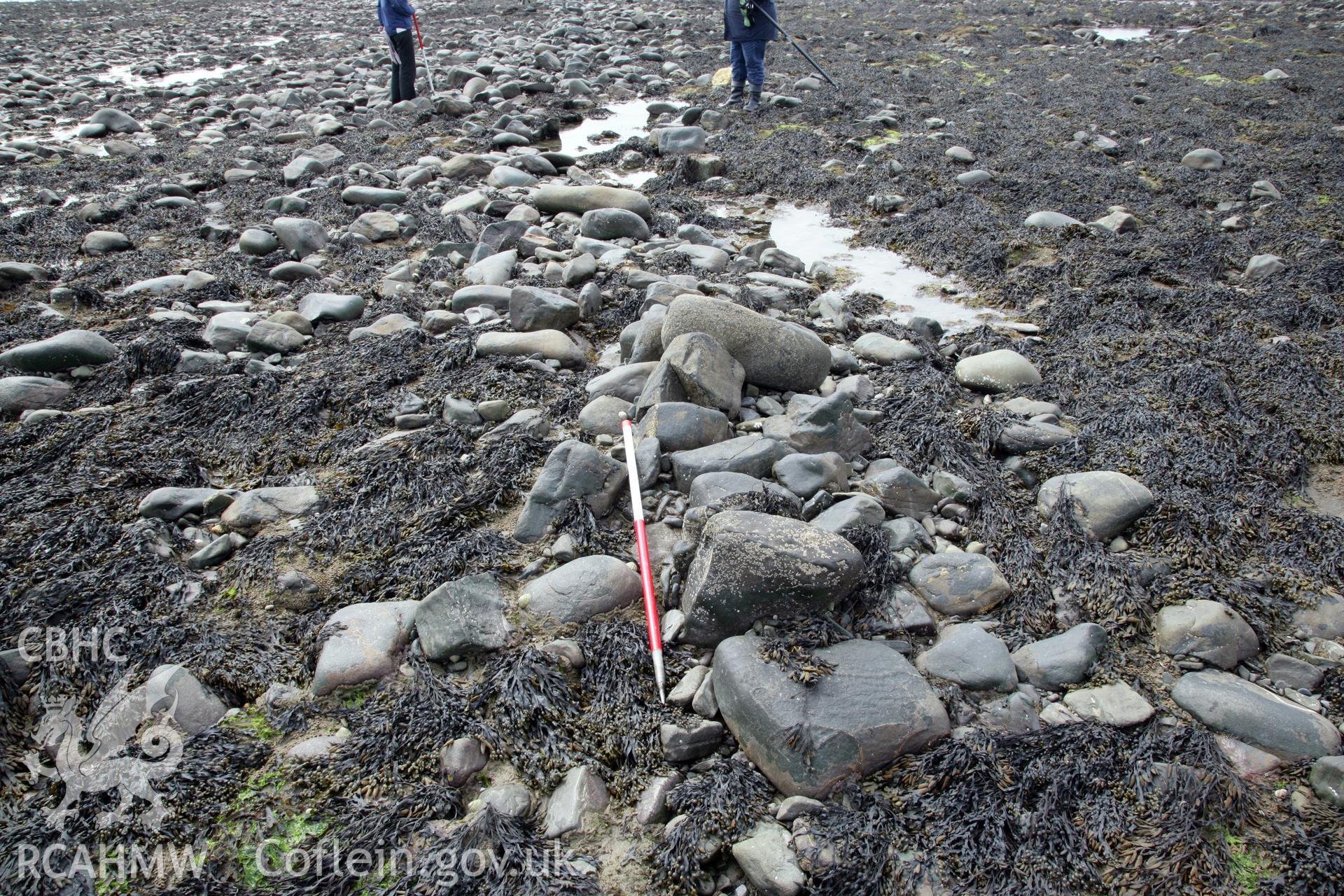 Southern section of north-south arm of fish trap, looking north. Front and back facing stones show width of dry stone wall.  With 2m ranging pole showing size of boulders.