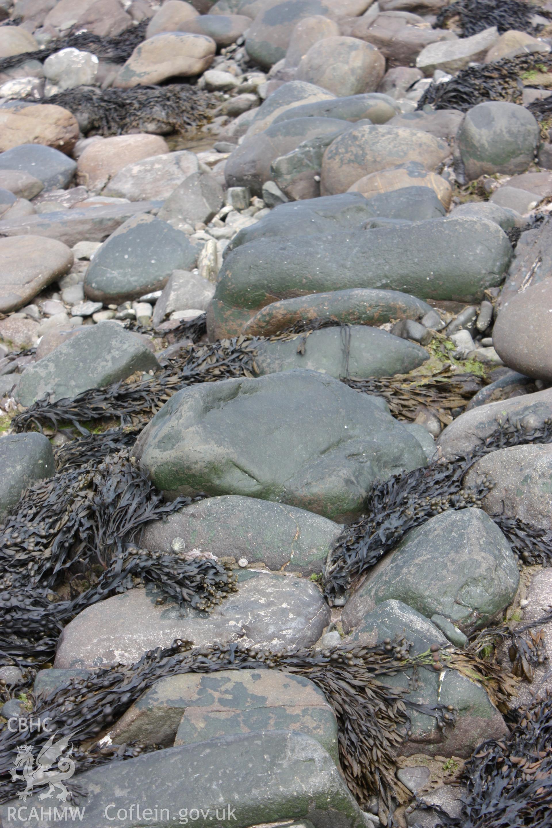 Section of dry stone wall comprising east-west arm of fish trap, looking east. Shows alignment of boulders.