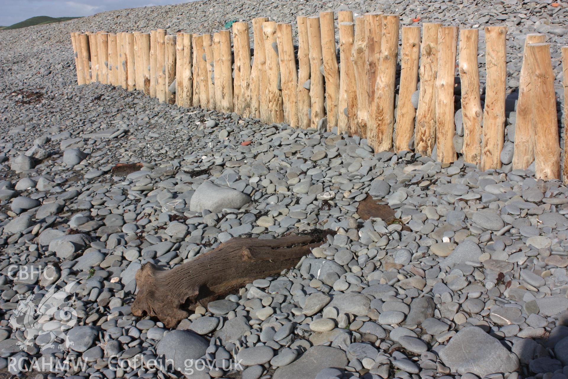 A large section of tree, poossibly insitu, but perhaps more likely to have been dislodged and washed up.