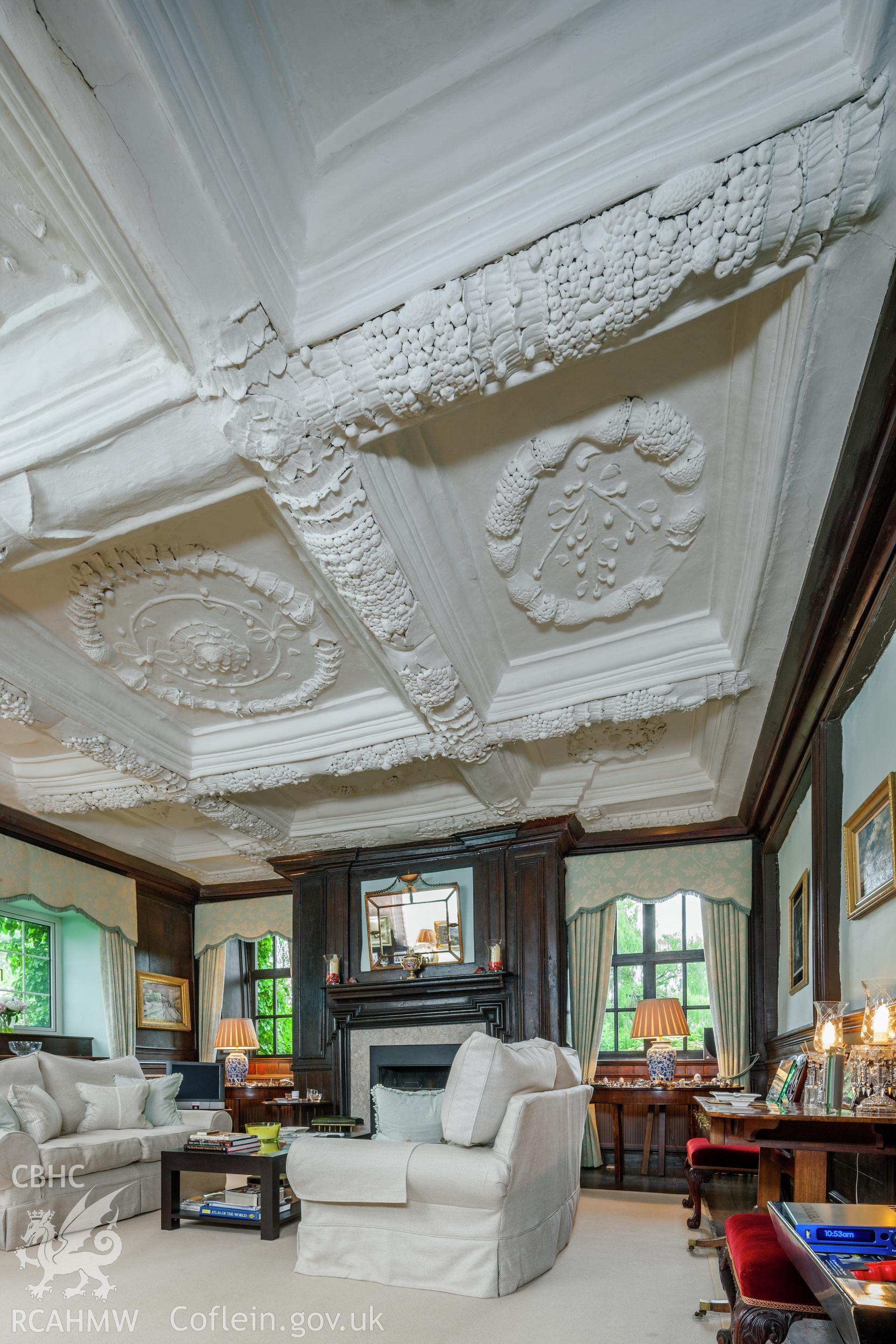 Interior of parlour ceiling.