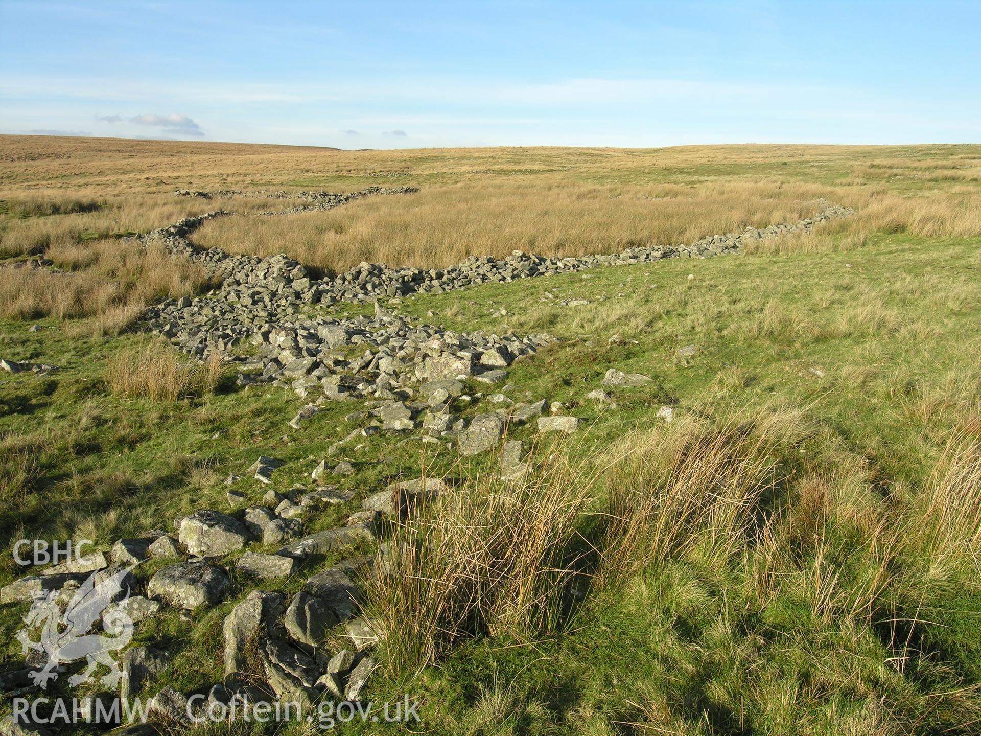 Digital colour photograph of Cwm Criban Enclosed Settlement taken on 24/10/2006 by R.A. Hayman during th Cefn yr Ystrad Upland Survey undertaken by Hayman and Horton.