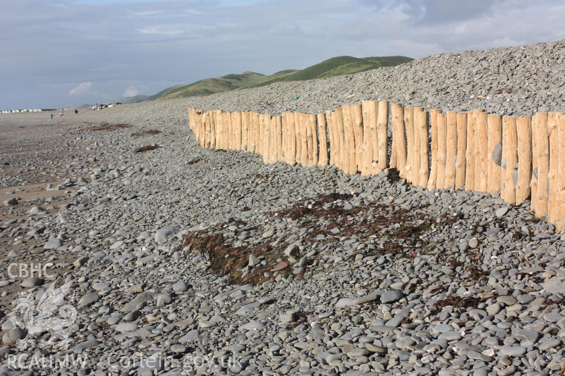 Peat deposit beginning to appear in front of the stabilisation piling for the shingle/cobble ridge.