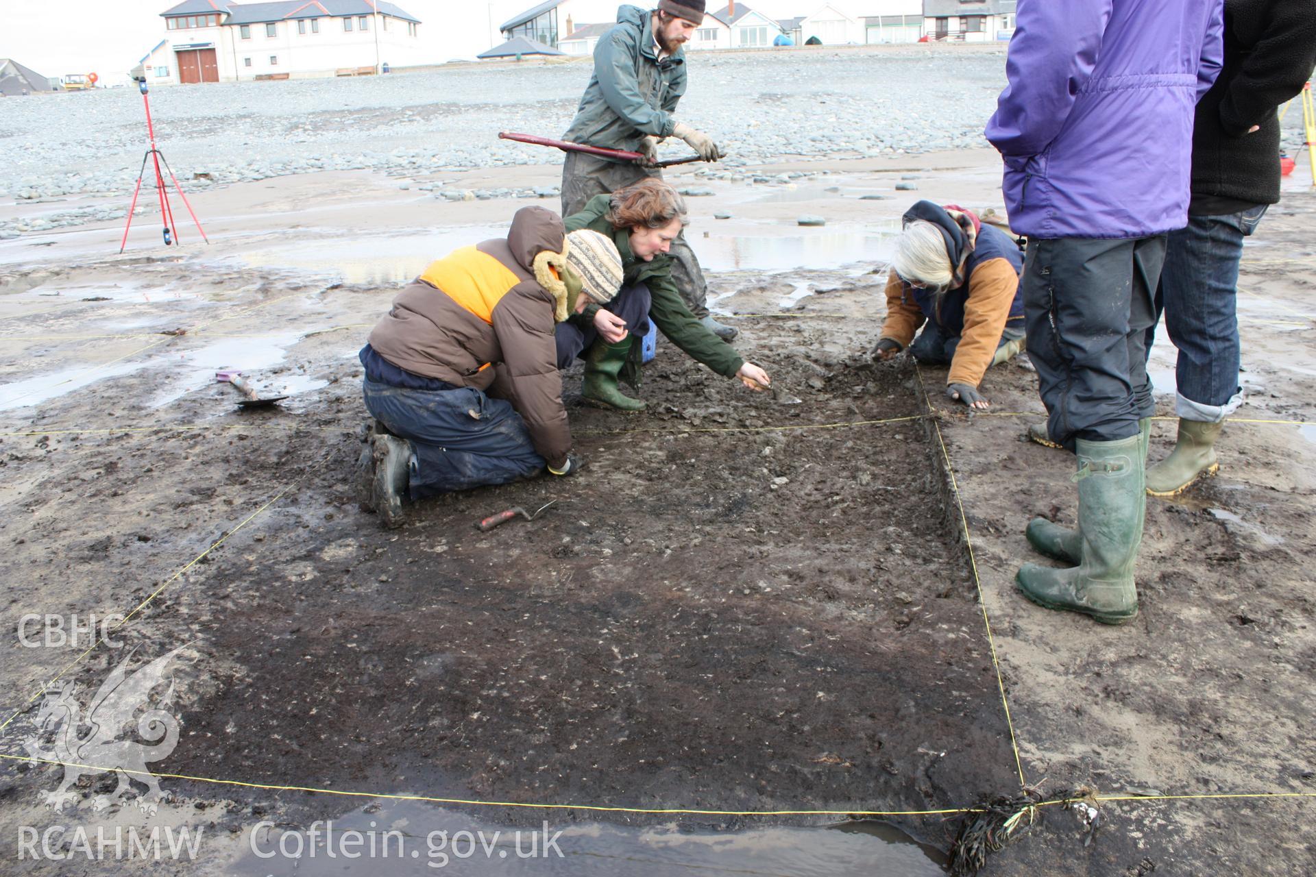 Borth submerged forest (between RNLI lifeboat station and upper Borth), looking east towards High Street and lifeboat station. Showing grid square of excavation area (excavated by Lampeter University), with evidence of burning