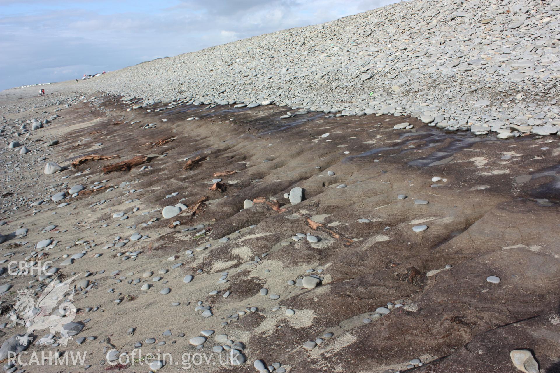 The peat exposure with the larger sections of tree  looking northwards.