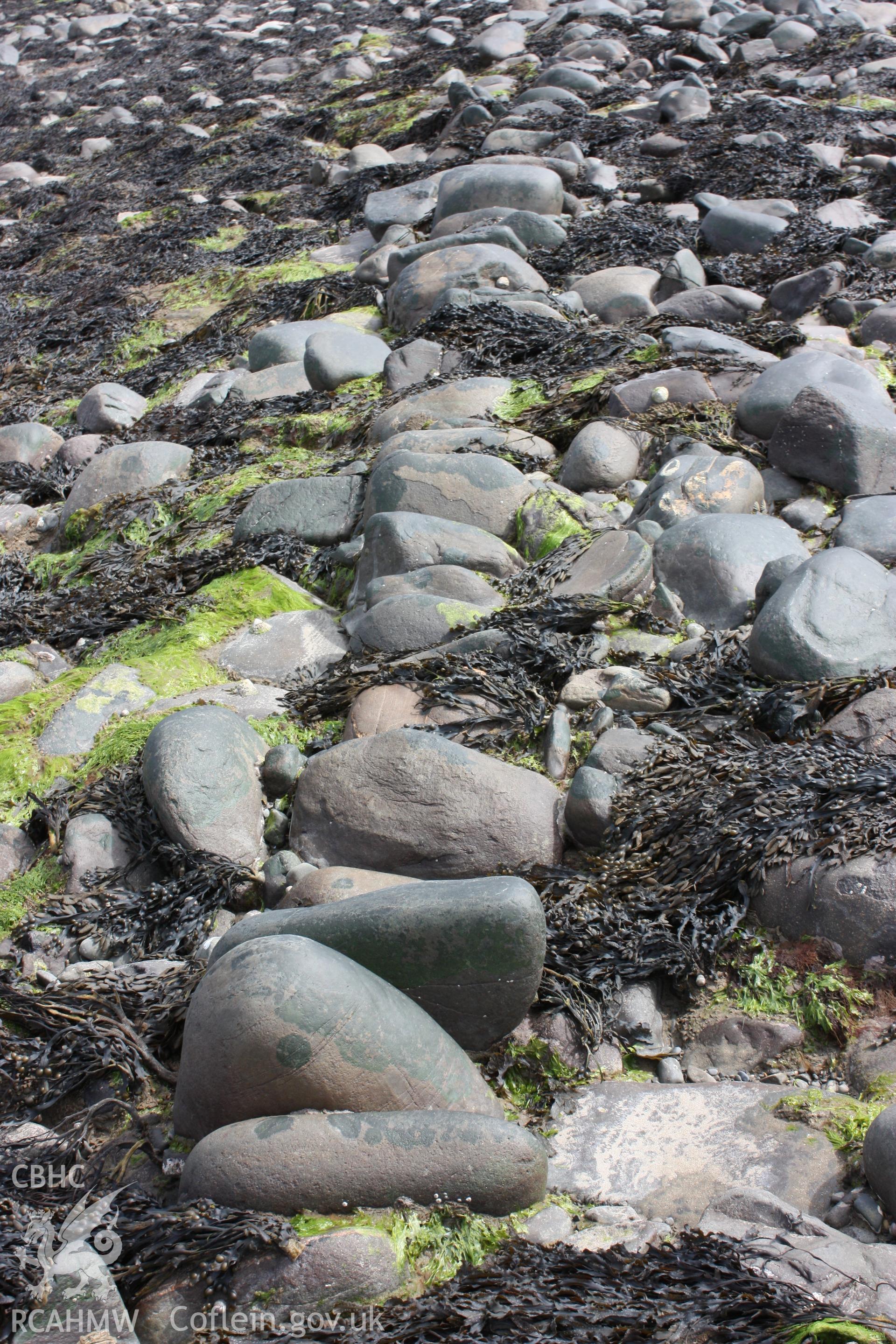 North-south arm of fish trap, looking south. Shows alignment of boulders comprising dry stone wall.