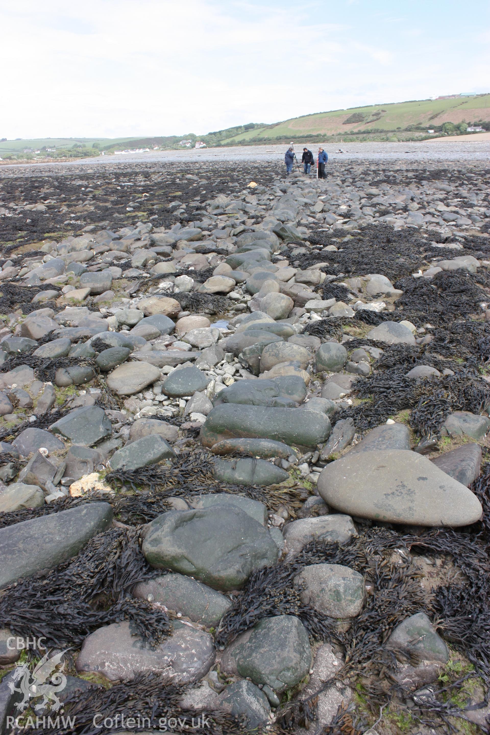 Southern section of east-west arm of fish trap, looking east. Shows either different alignment of northern and southern sections of dry stone wall, or separate (front and back) wall faces.