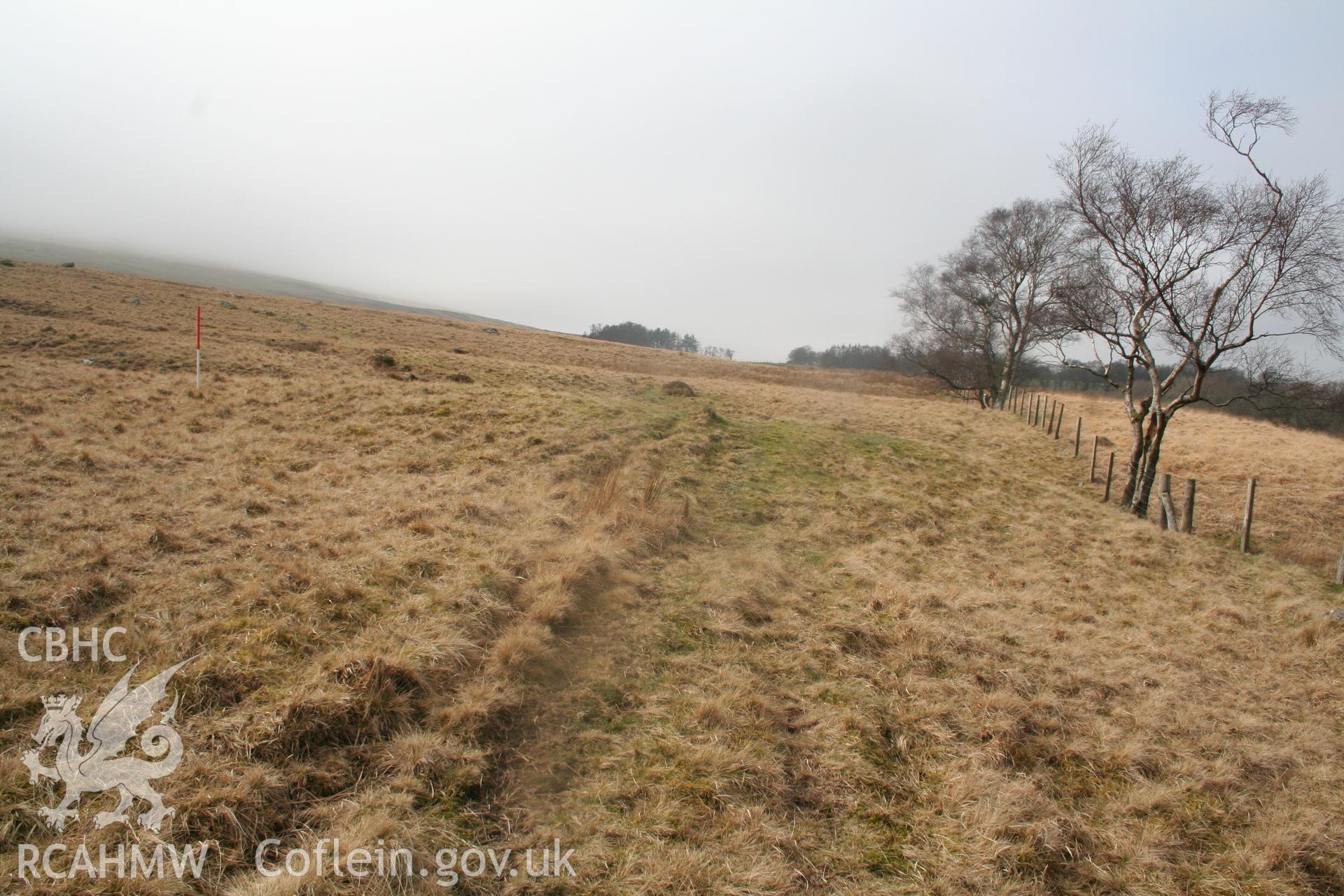 View of mound from the east; 1m scale.