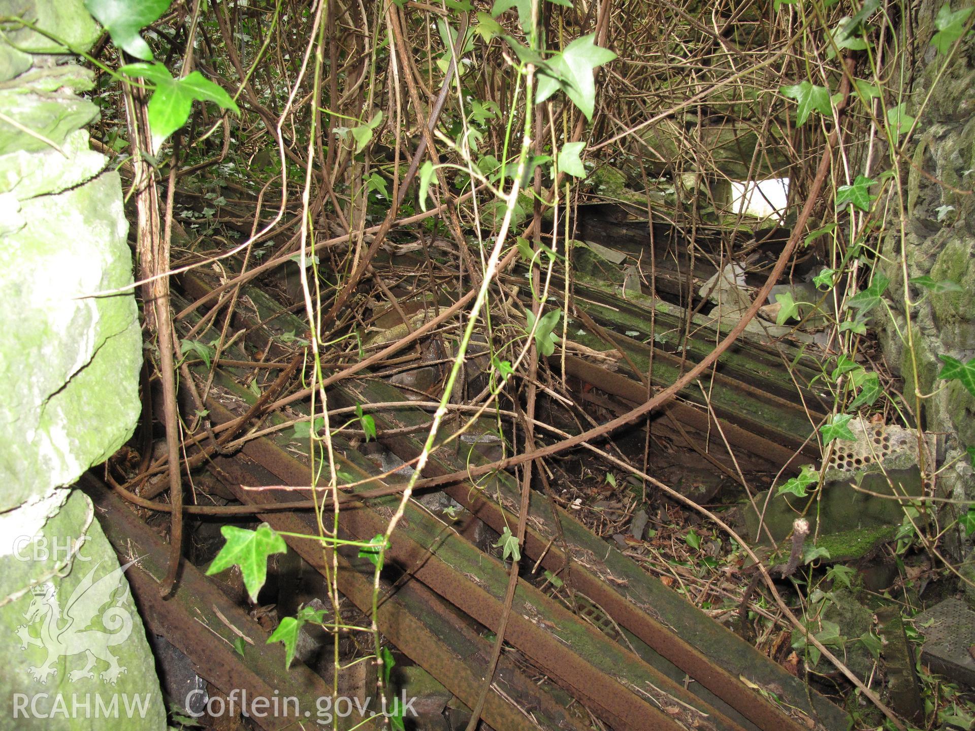 Interior remains of Melin Rhyd-y-benllig Corn Drying Kiln taken by Brian Malaws on 13 March 2010.