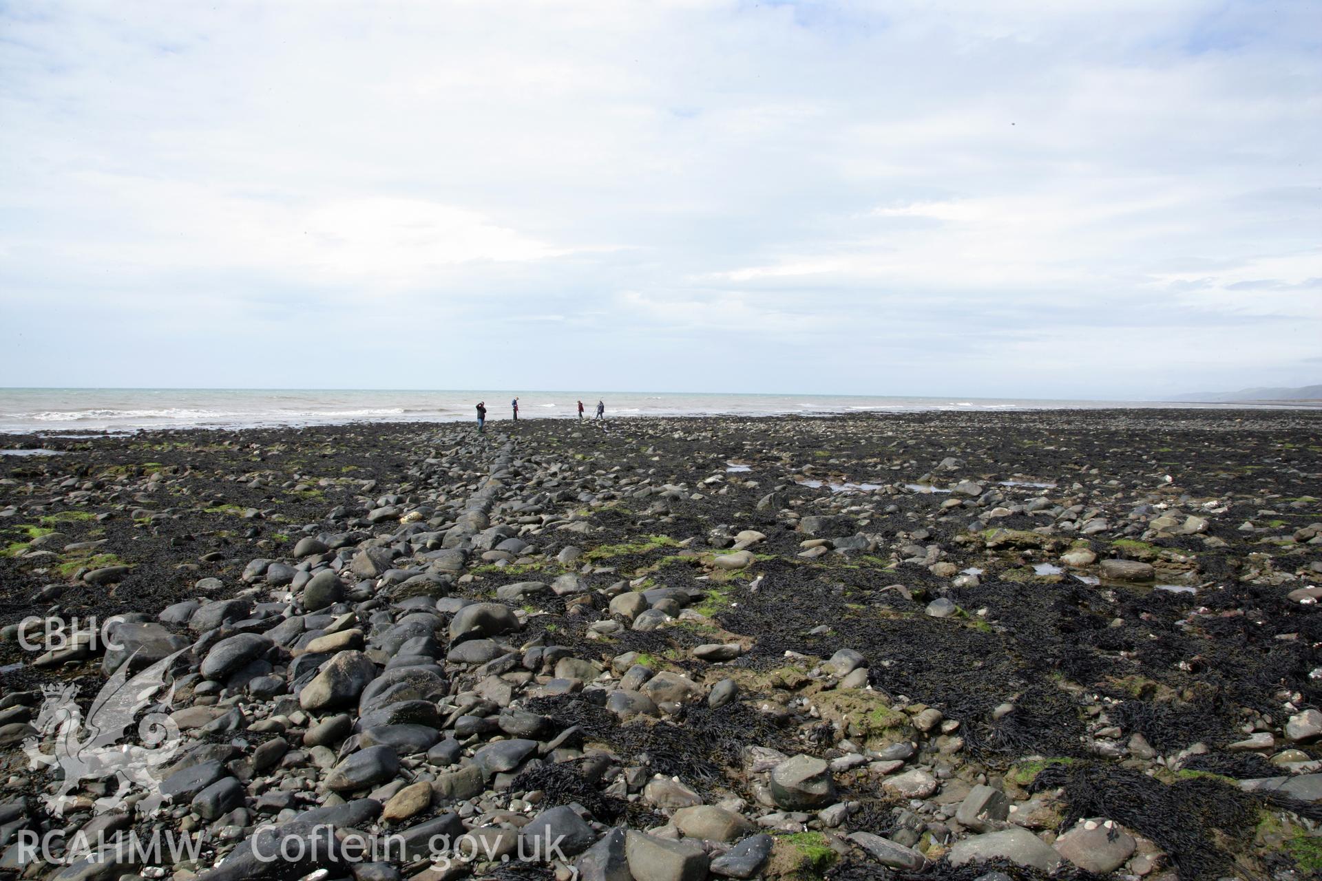 Southern section of North-south arm of fish trap, looking northwest. Shows length and alignment of dry stone wall. RCAHMW staff (right) standing on tip of east-west arm.