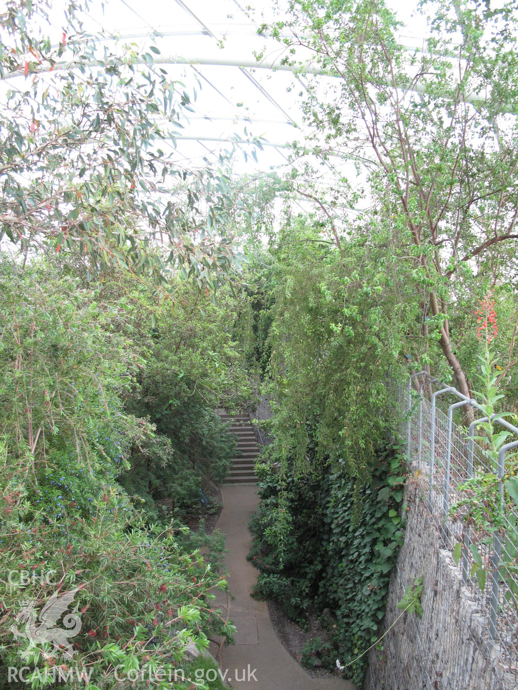 Interior view of the Great Glasshouse, National Botanic Garden of Wales.