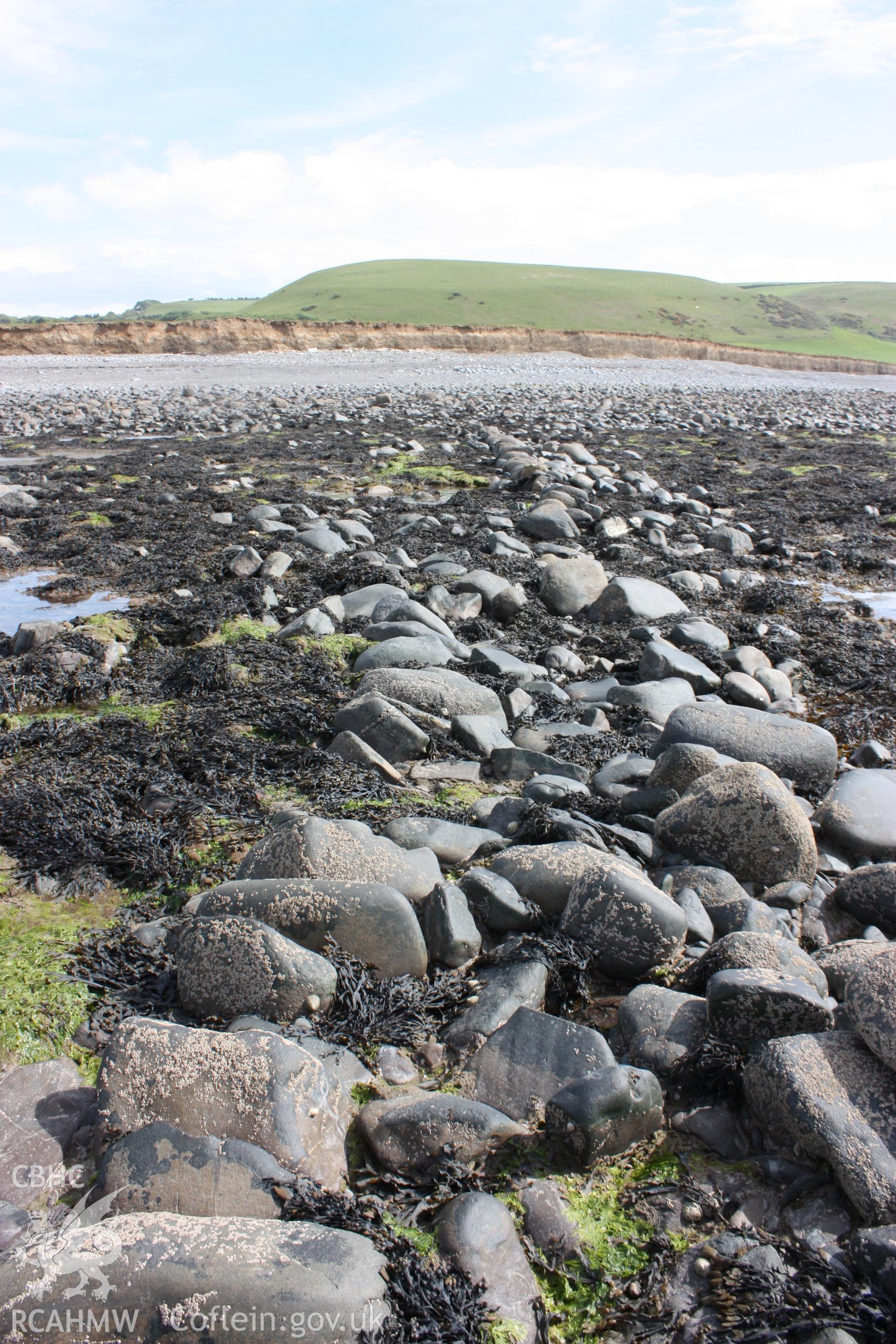 Southern section of North-south arm of fish trap, looking south. Showing alignment and spread of boulders comprising dry stone wall, and termination of wall (centre background).