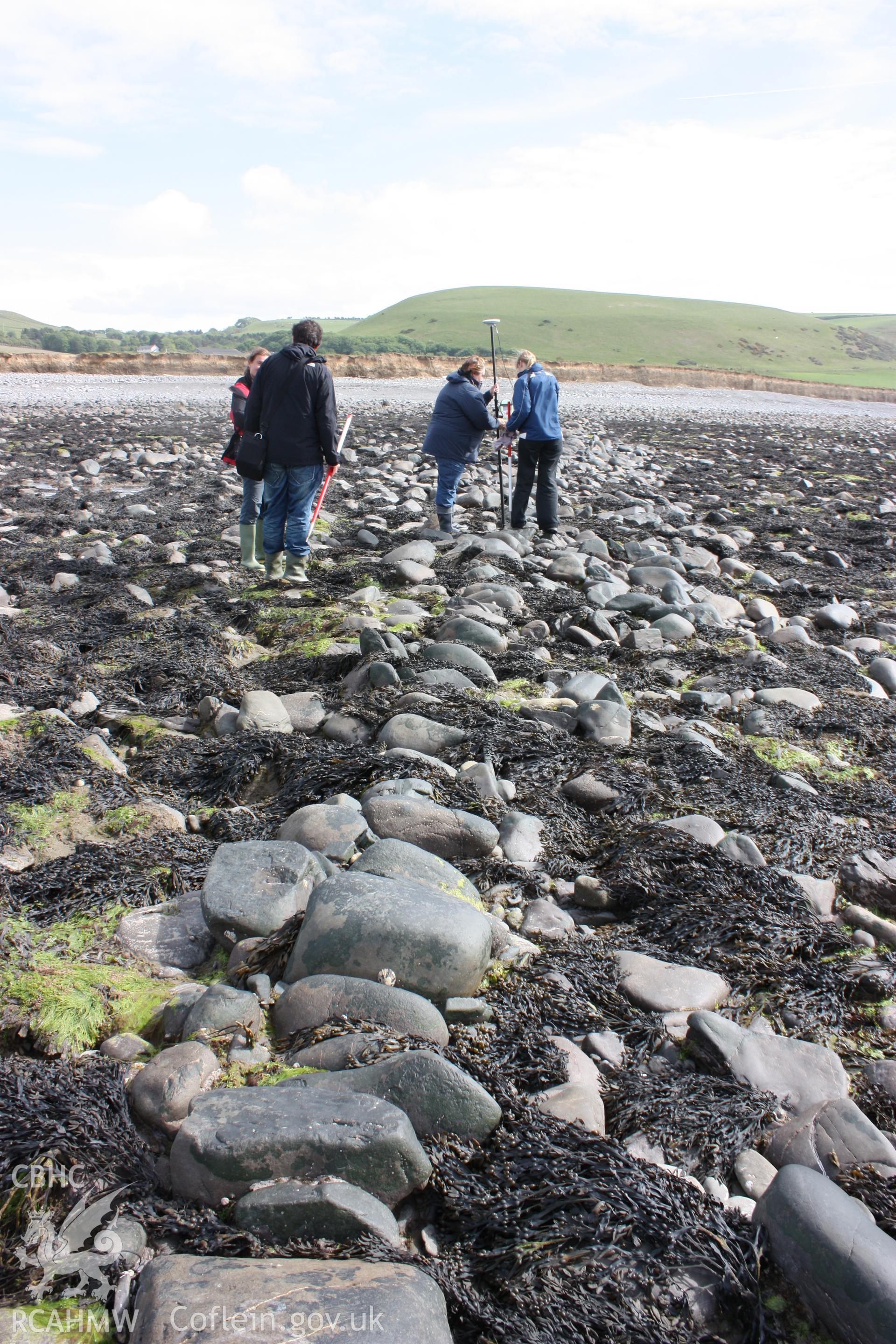 North-south arm of fish trap, looking south east. Two members of RCAHMW staff (centre) stand on alignment of arm.