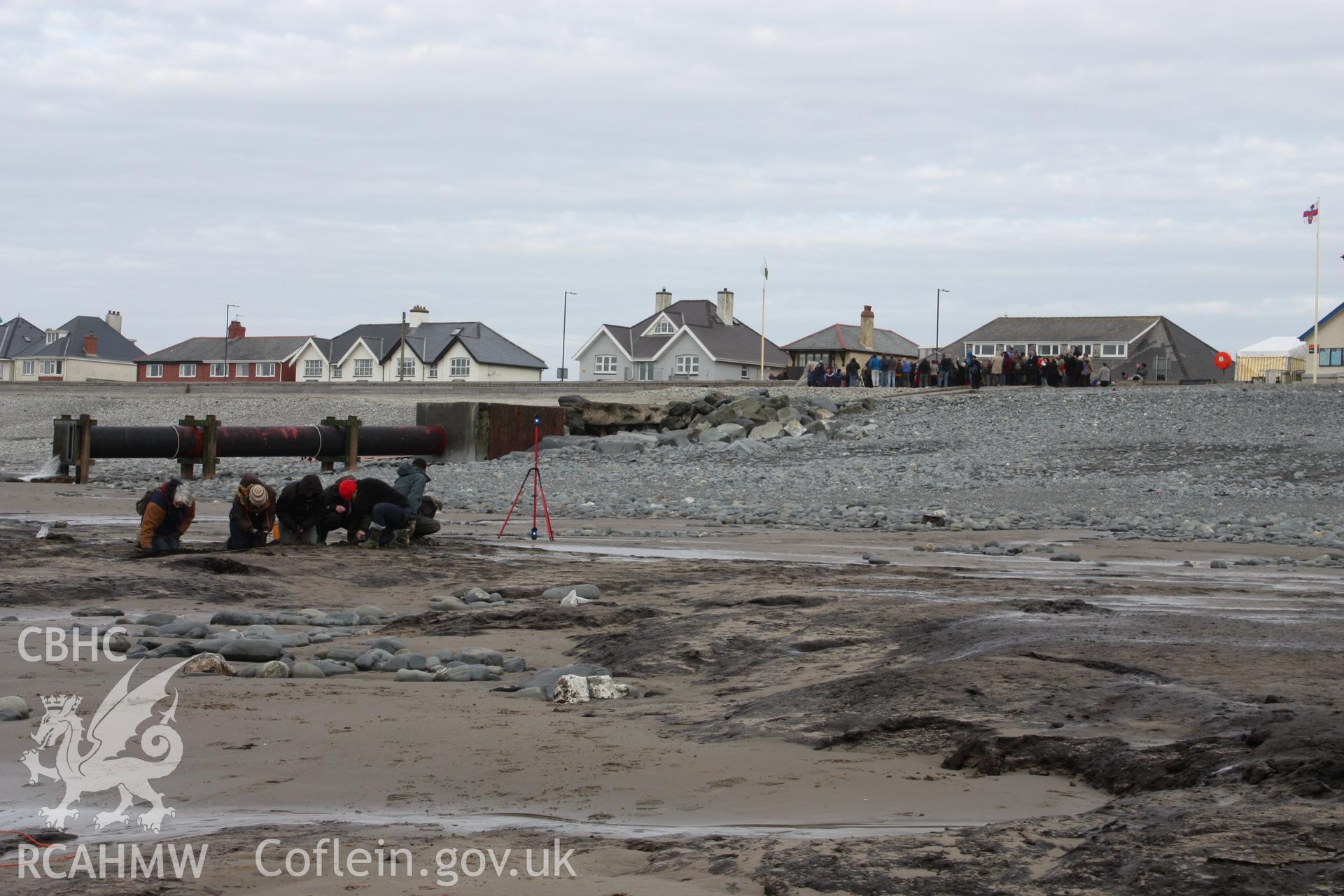 Borth submerged forest (between RNLI lifeboat station and upper Borth), looking east towards High Street. Showing length of peat exposure partially excavated by Lampeter university