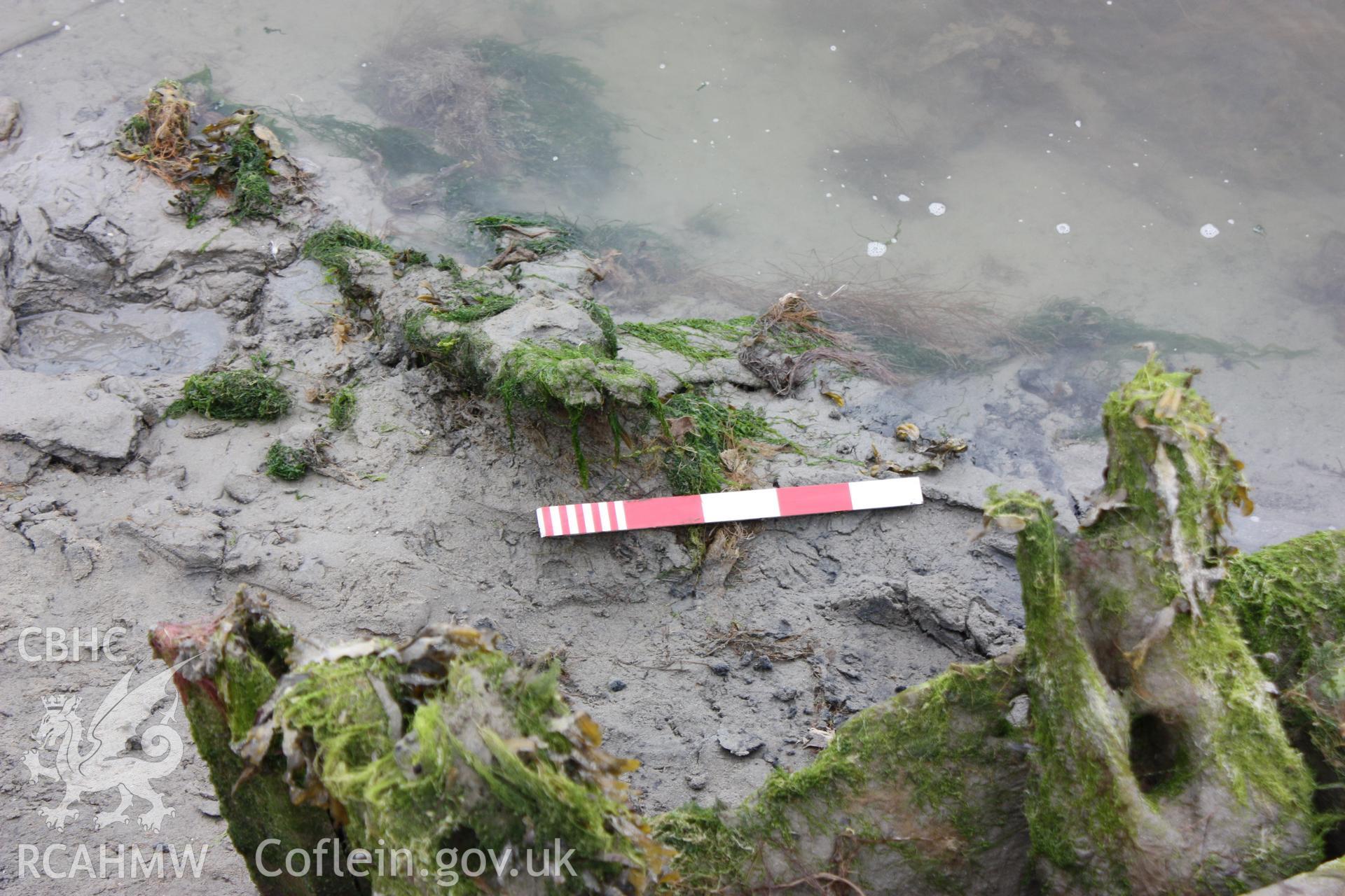 Collapsed upper hull structure/planking to north of wreck.