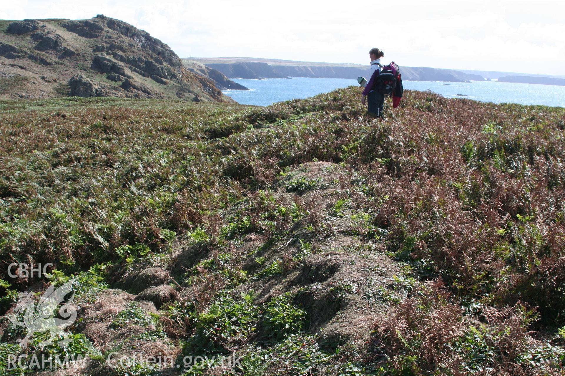 Main promontory rampart, view from west with outer ditch to north (left).