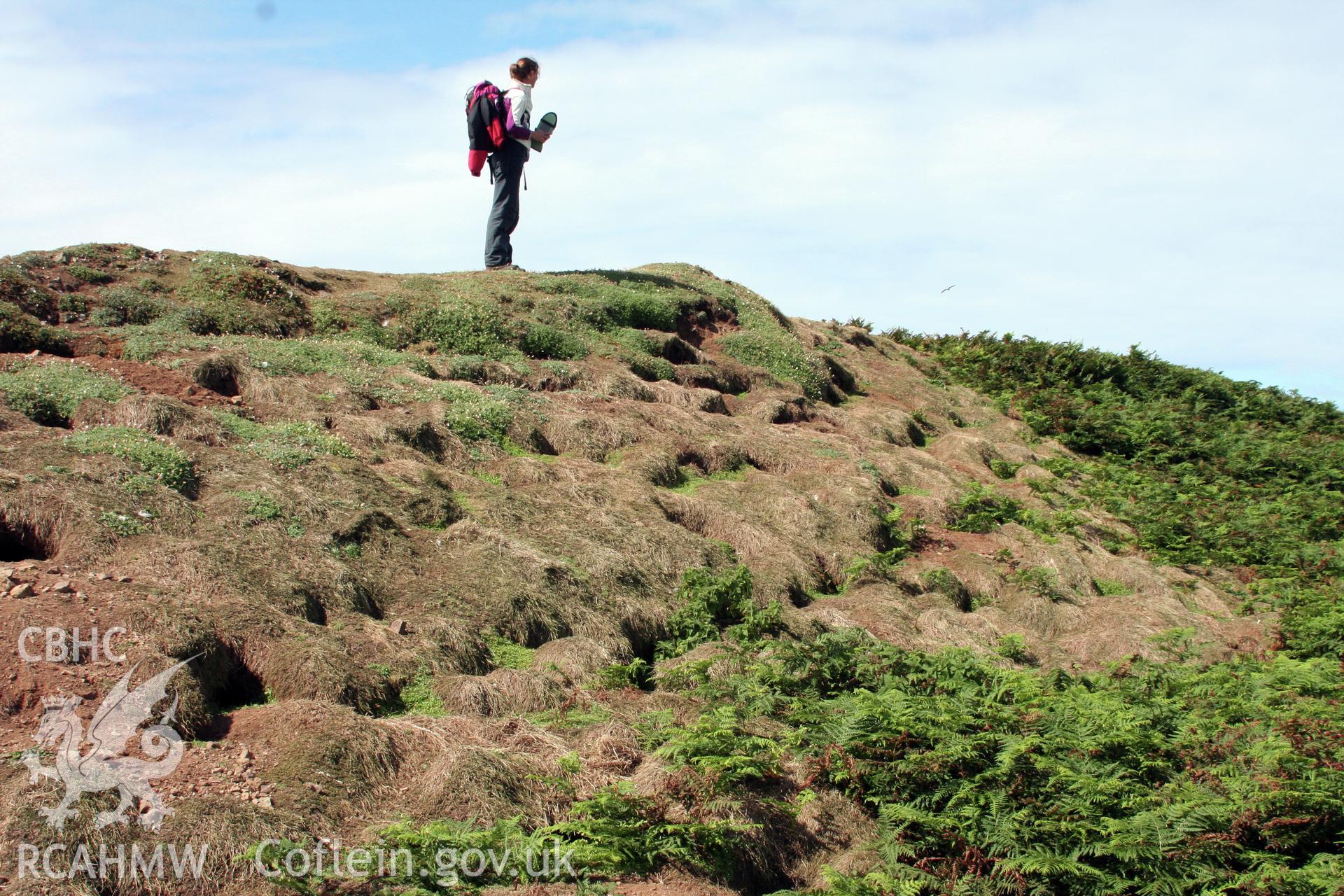 Main promontory rampart, view of eastern part with surface disturbance.