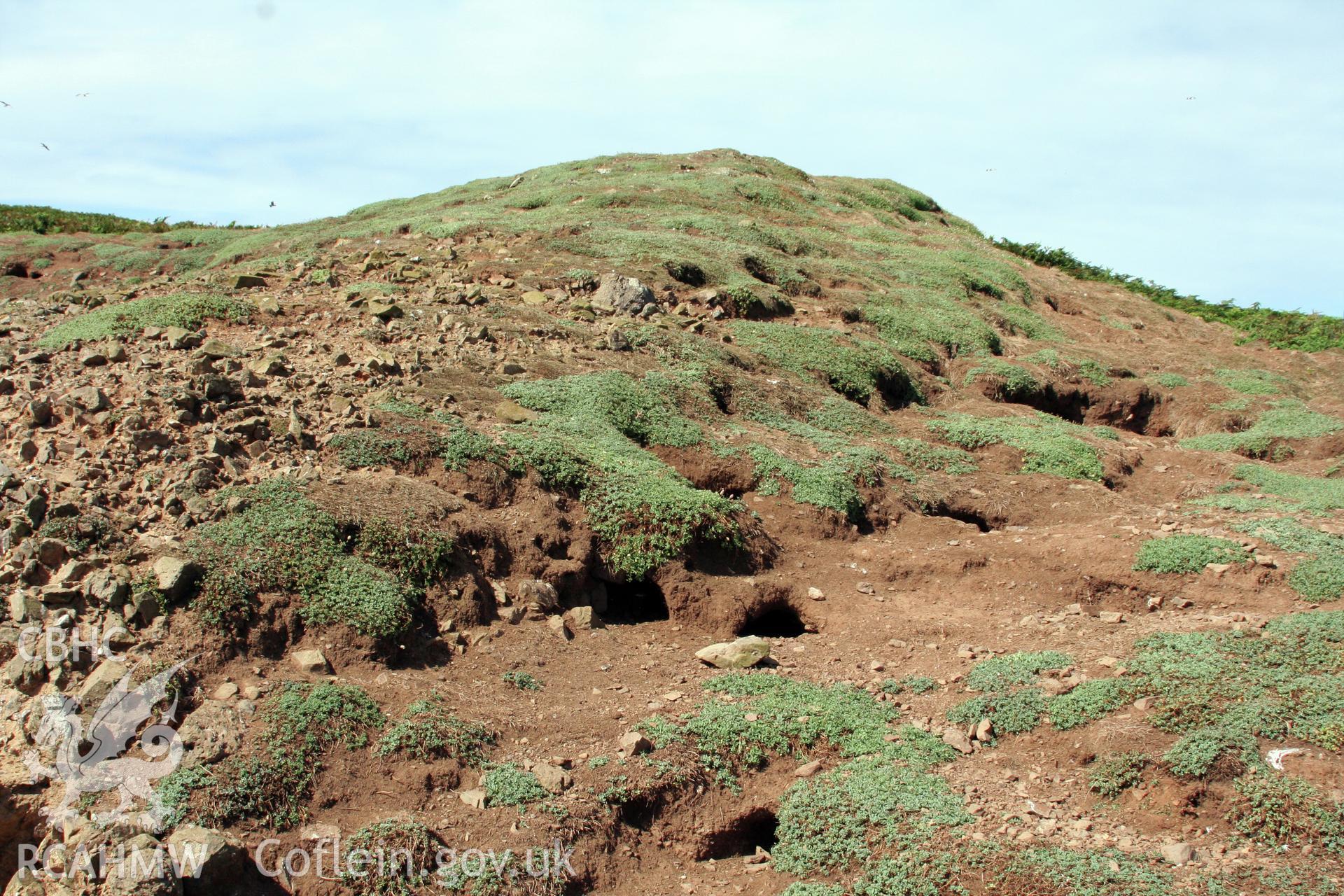 Main promontory rampart, view of eastern terminal where it abuts cliff edge.