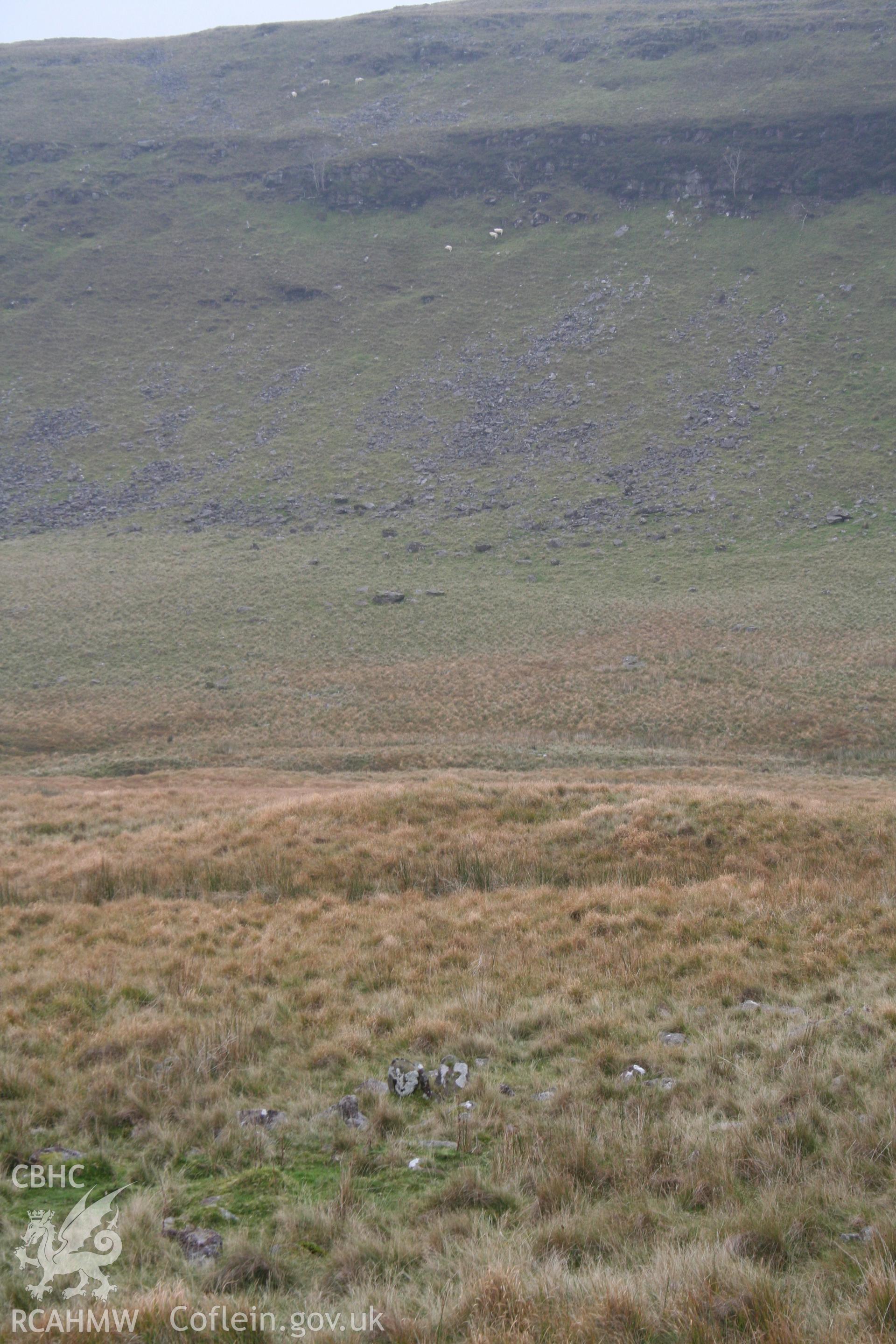 View of mound, in centre of picture, from the north-east; The line of rushes in front of it is a stream course.
