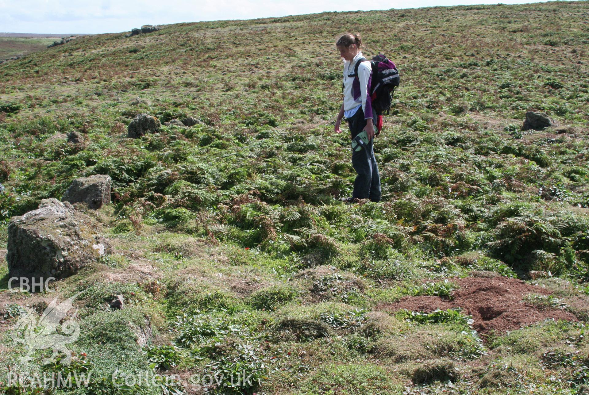 The Churchyard, Skomer Island, view of north wall and eastern part of enclosure, with figure standing in centre.