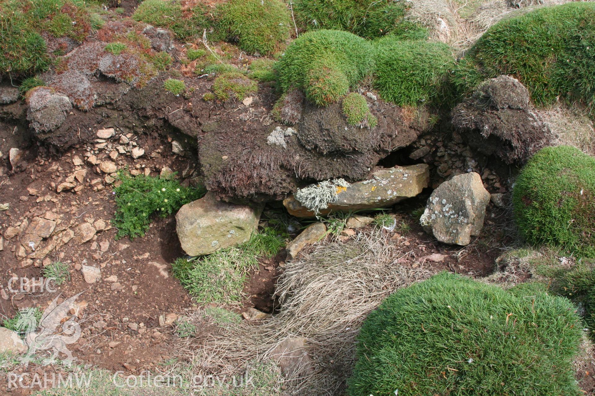 Detail of coarse stone walling in rock-cut north edge of rectangular house platform.