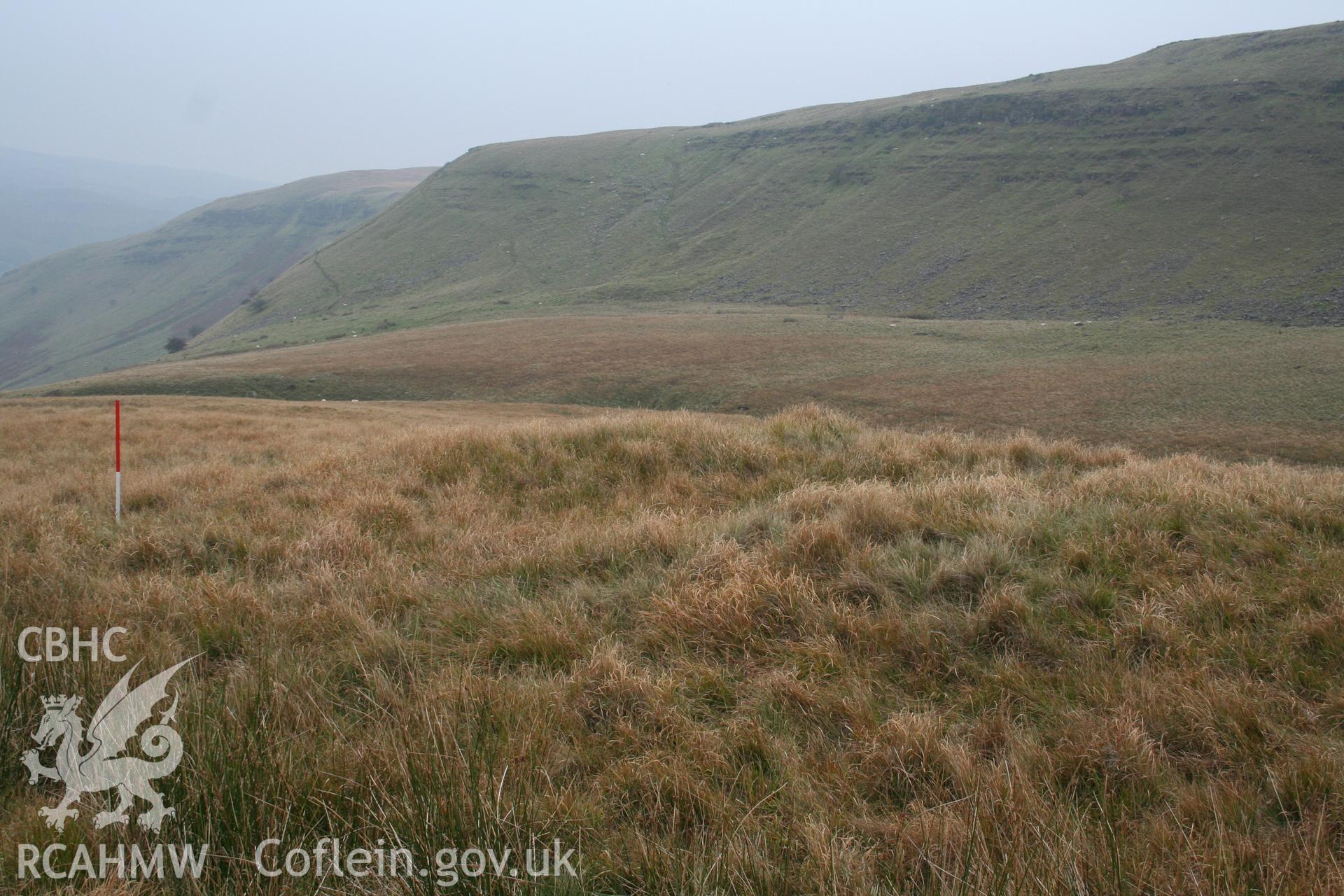 Mound seen from the north showing indentation at its centre; 1m scale.