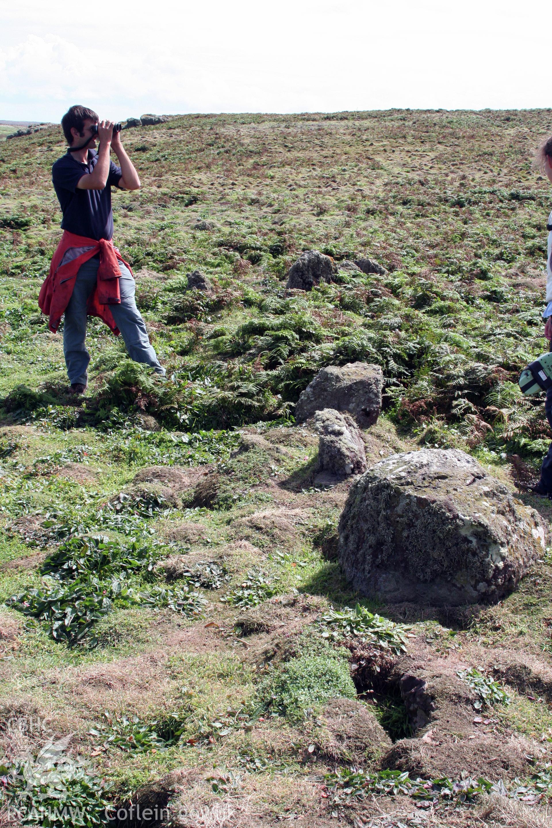 The Churchyard, Skomer Island, view of orthostatic north wall towards north-east angle.