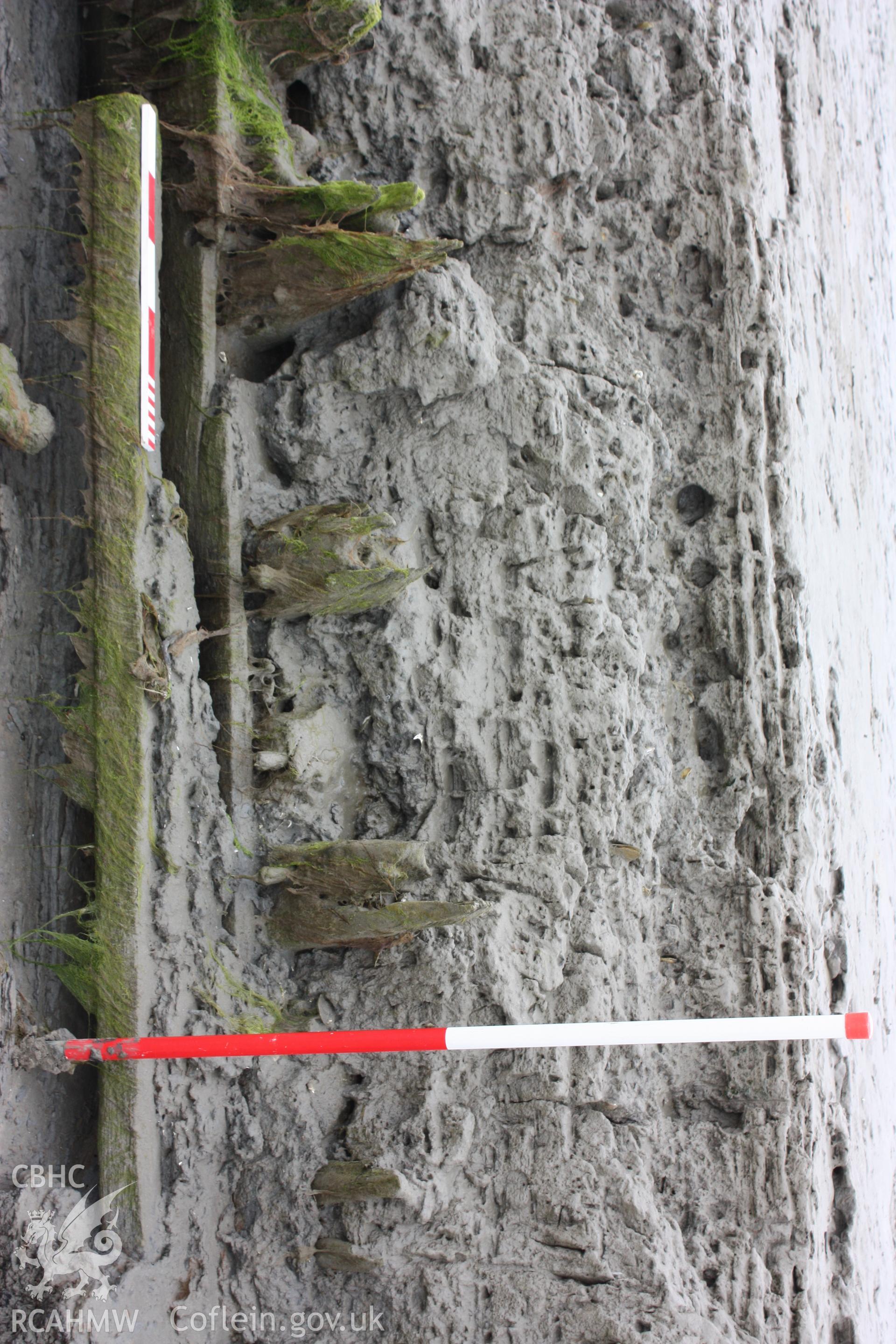 Build up of mud overlaying the wreck with planking and framing timbers emerging from section, viewed from the northern side.
