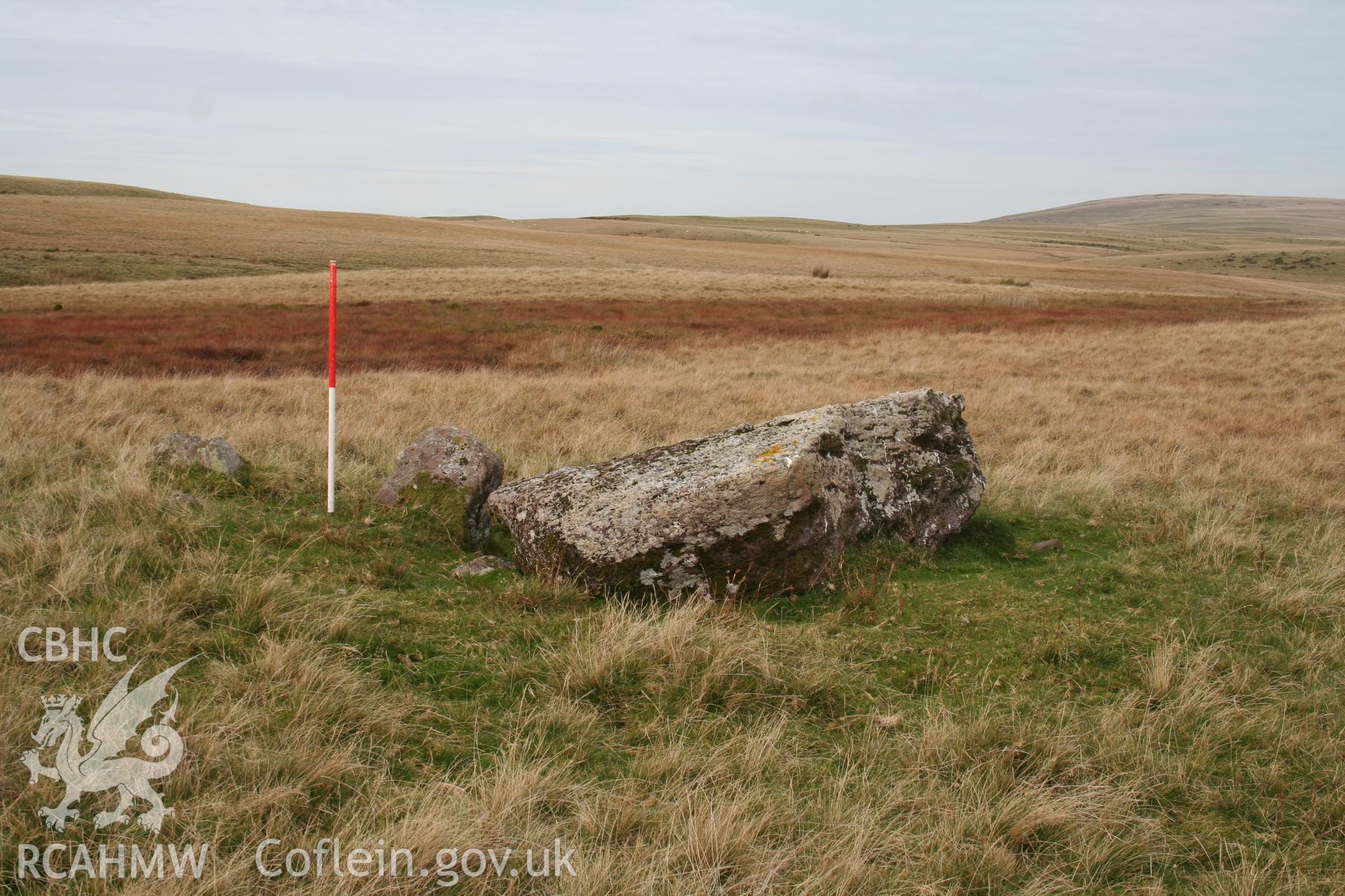 Row of three stones seen from the south-east side; 1m scale.