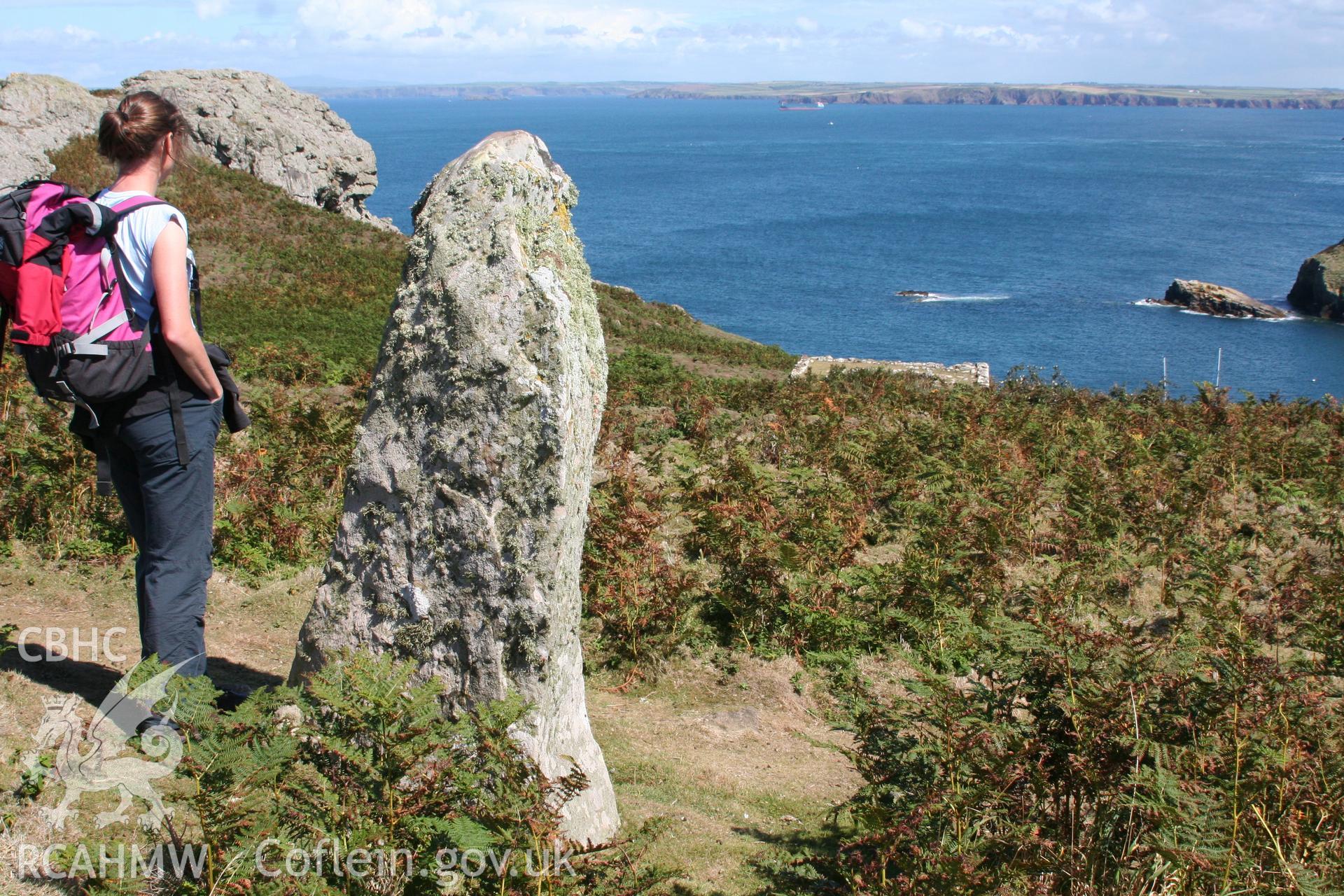 Harold stone standing stone, view from west.