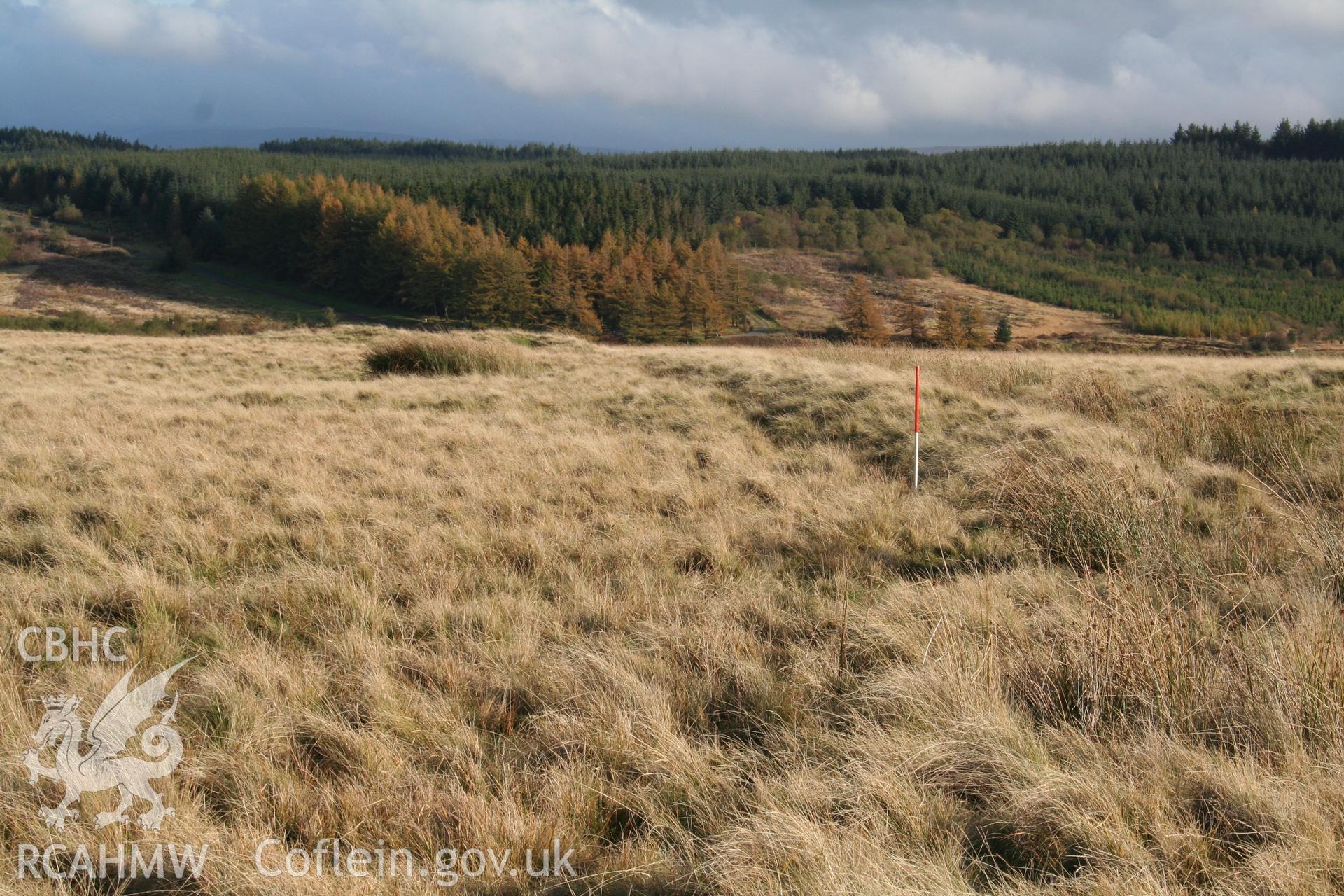 Southernmost (outer) extent of intake bank looking eastwards (towards cairn NPRN 84428 on line of bank); 1m scale.