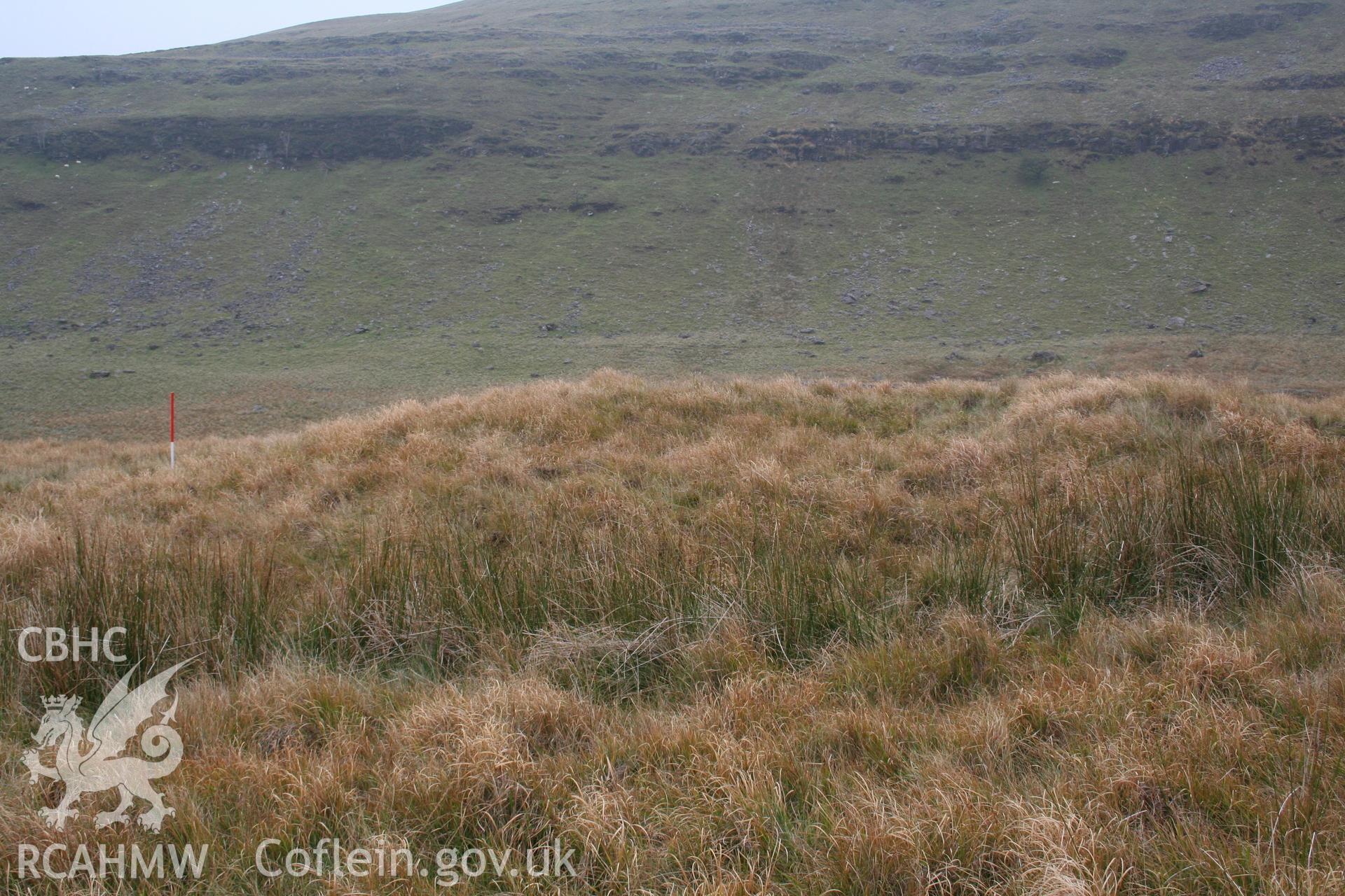 Mound seen from the north-east; 1m scale.