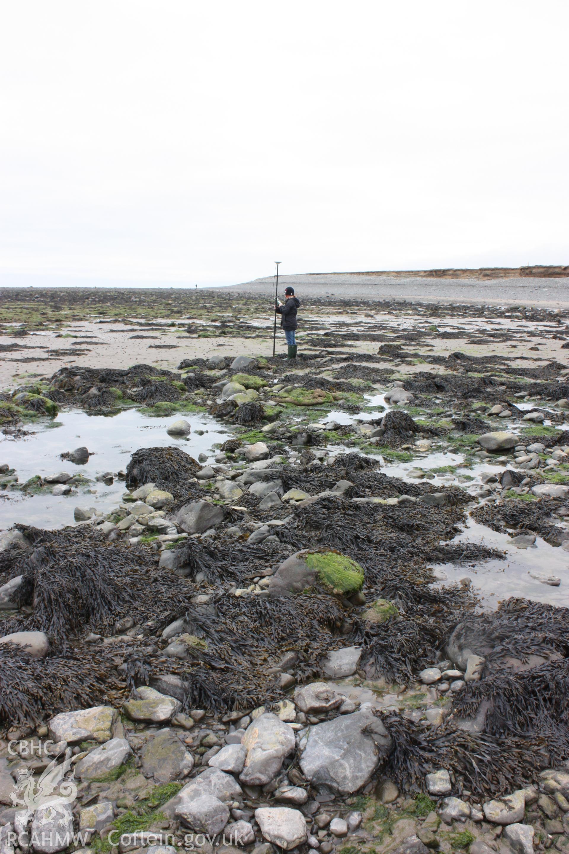 Diffuse alignment of stones, looking north, with member of RCAHMW staff standing on last discernible alignment.