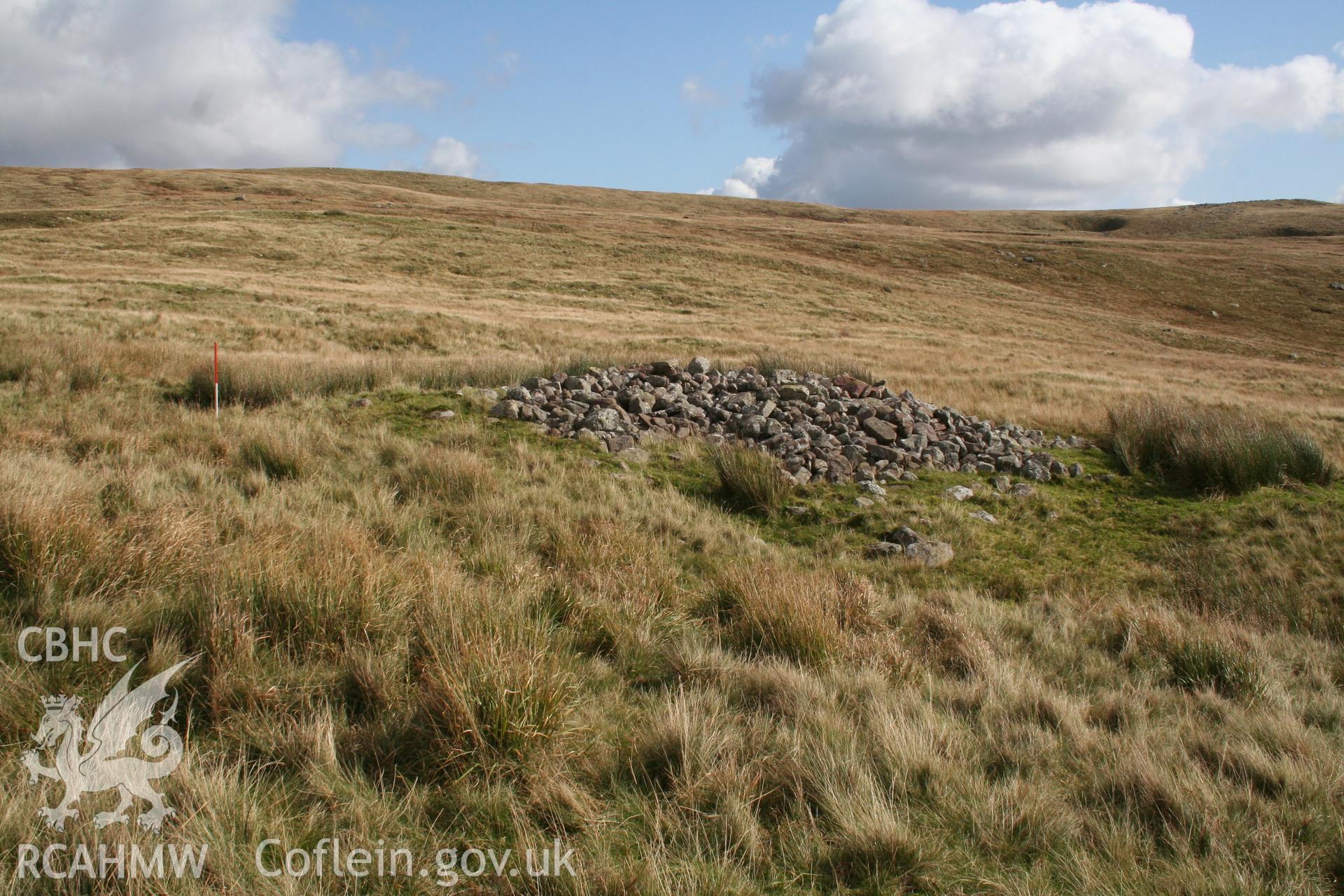 View from the west; 1m scale.