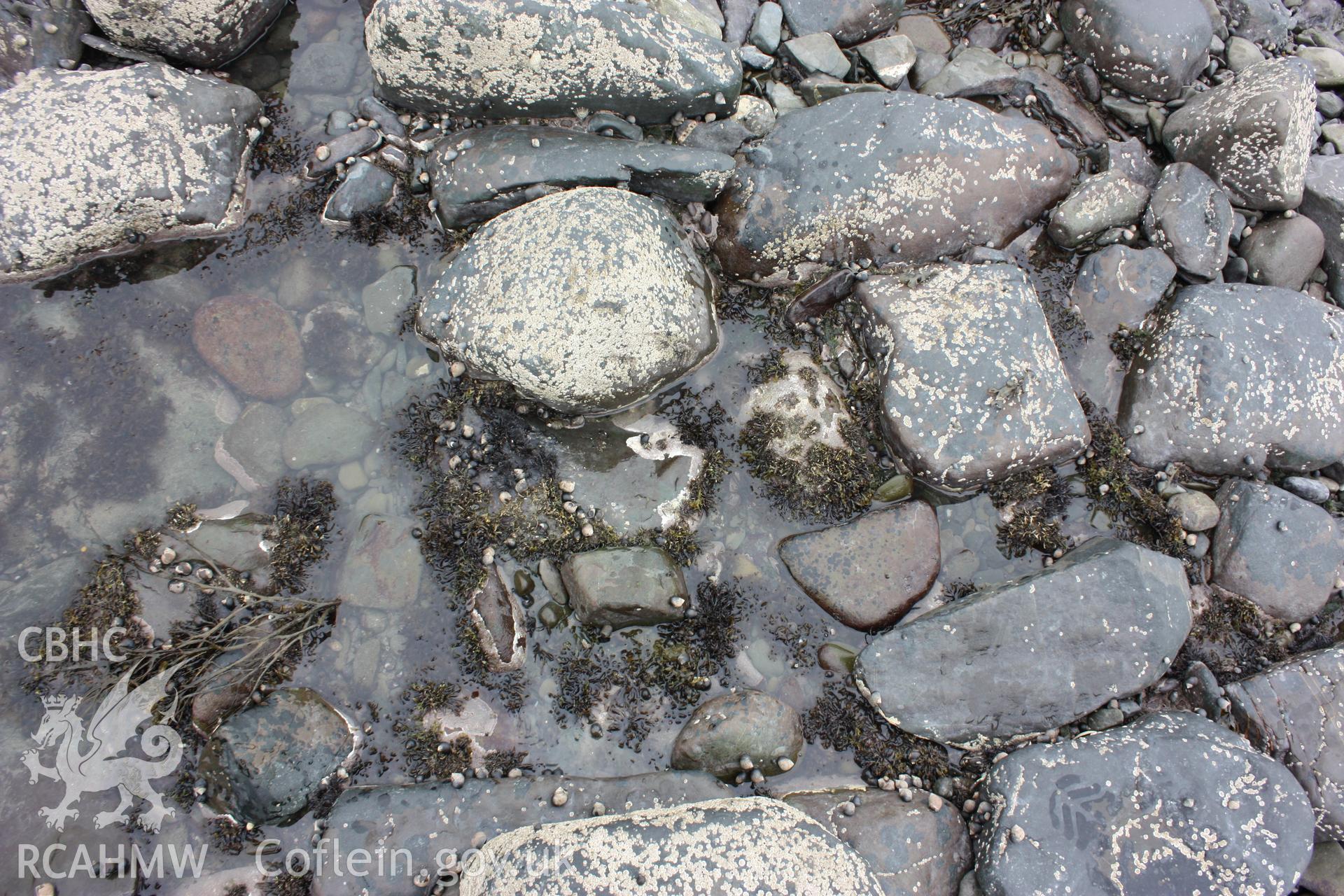 Centre of fish trap arm. Well preserved cod end or sluice, looking south. Shows rectangular stones which appear to define the edge of stones laid as a flat pavement.