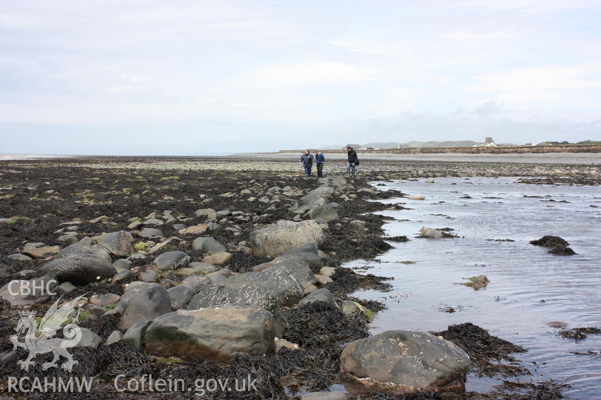 Northern section of fish trap arm looking north. Shows curving alignment of stone wall and pool of water still retained by fish trap arm. RCAHMW staff at point where arm curves towards east.