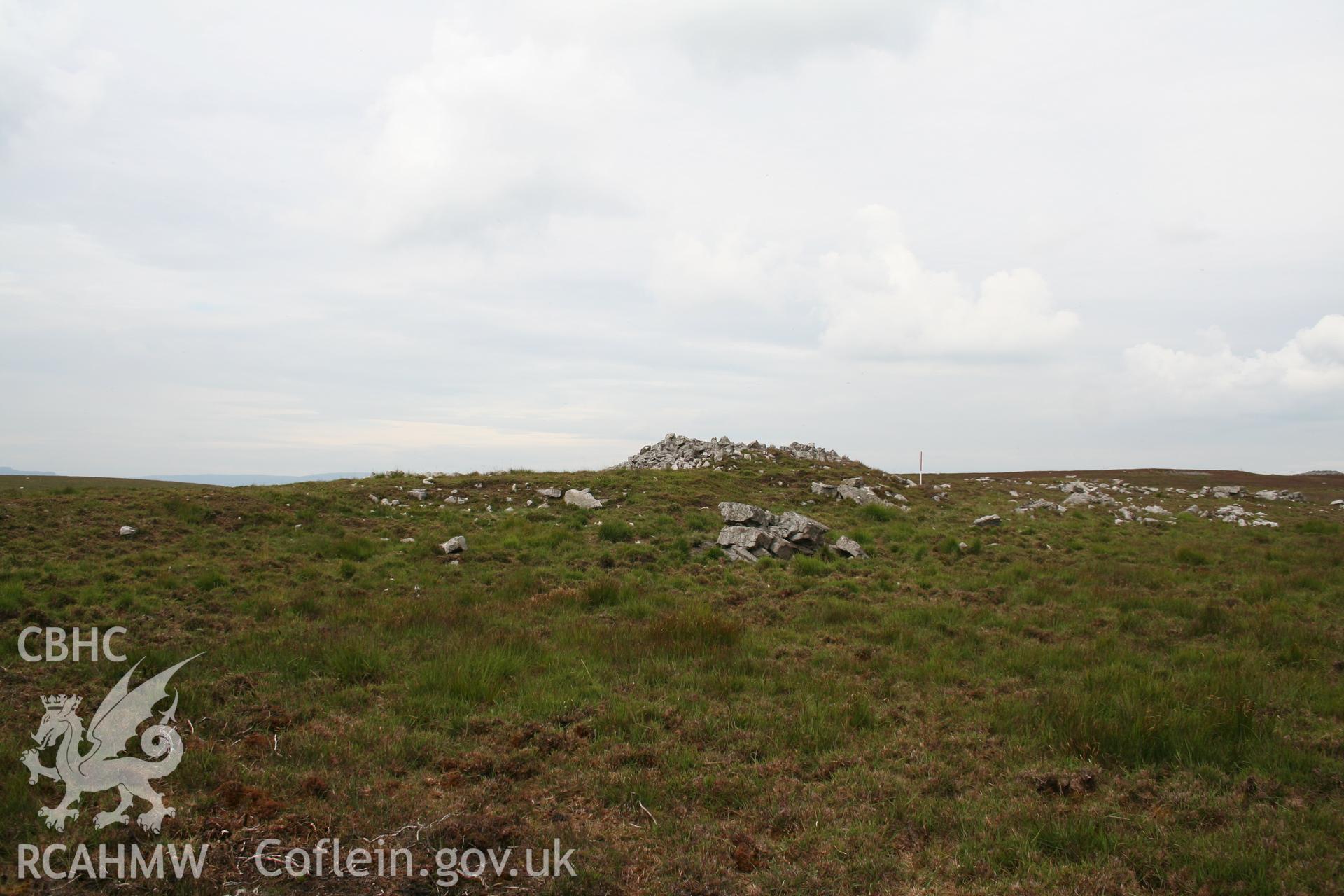 View of cairn from the south; 1m scale.