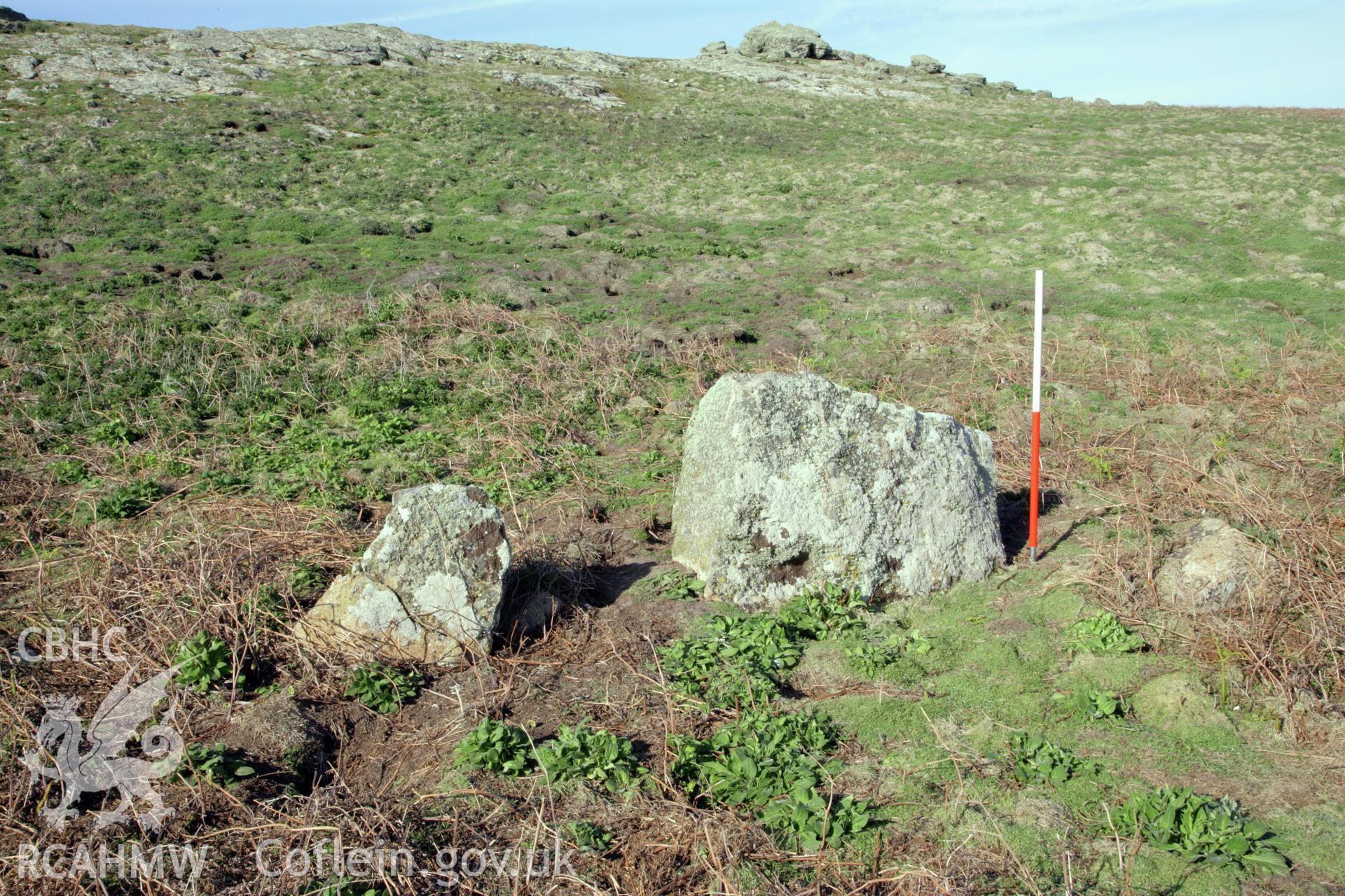 Stone pair at the Wick, Skomer Island, looking west.